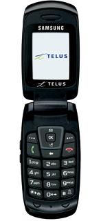 Telus Samsung M210 - MobileSyrup.com