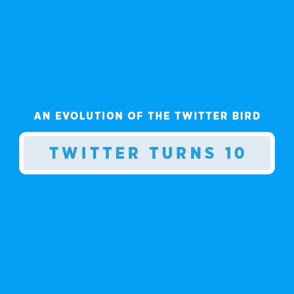 TwitterBirdEvolution (3)