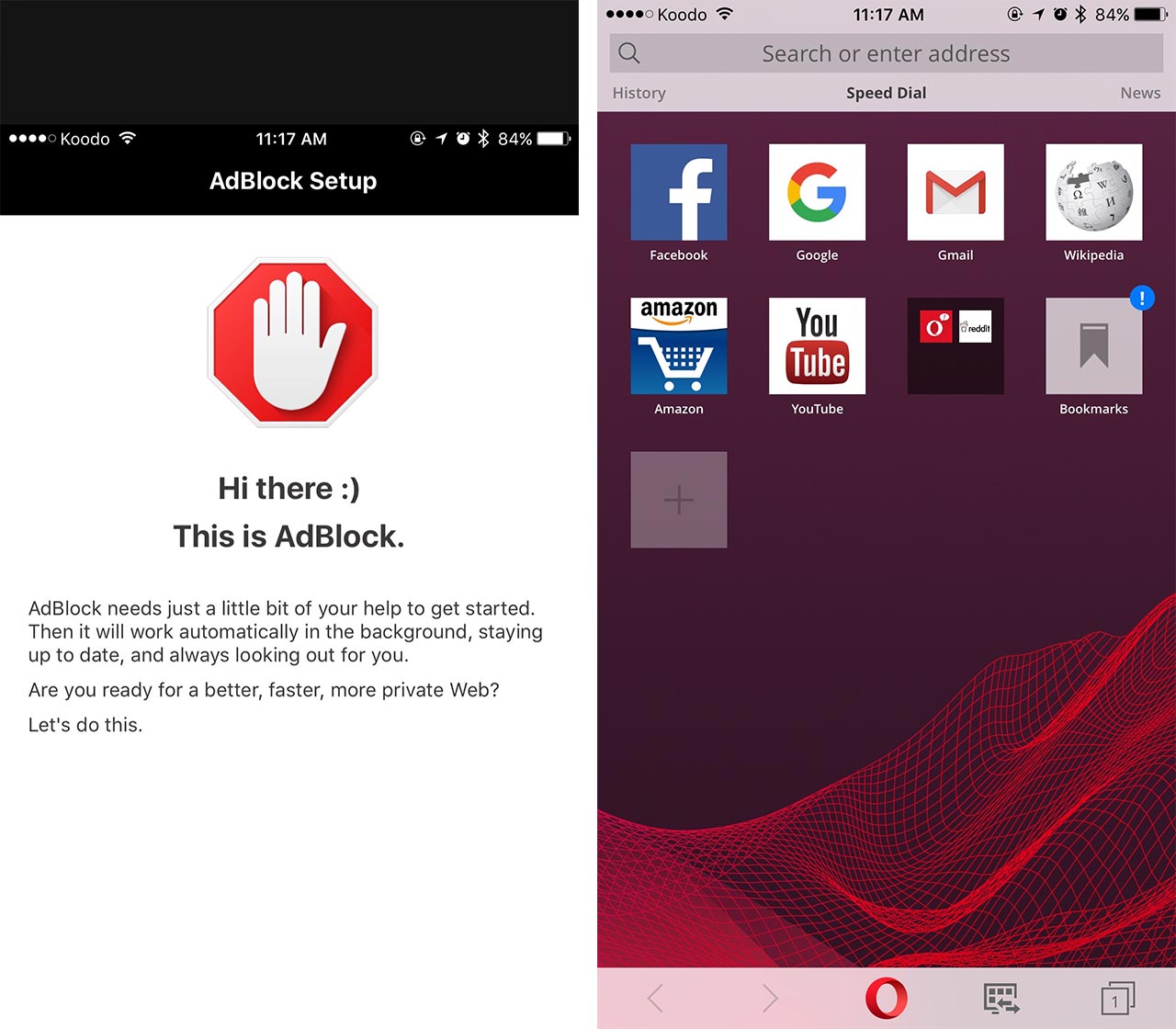 Screenshot of Opera Mini and Adblock for iOS 