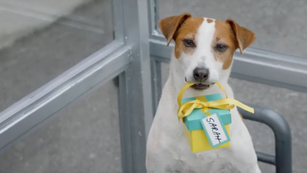 fido dog with present commercial - byod retention plan