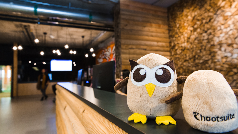 Hootsuite owl at office