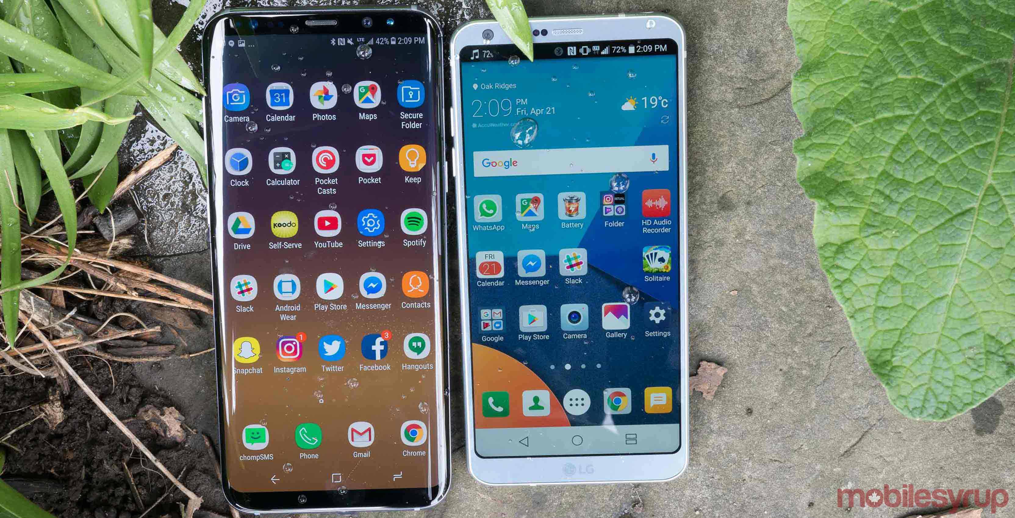 LG G6 and the S8