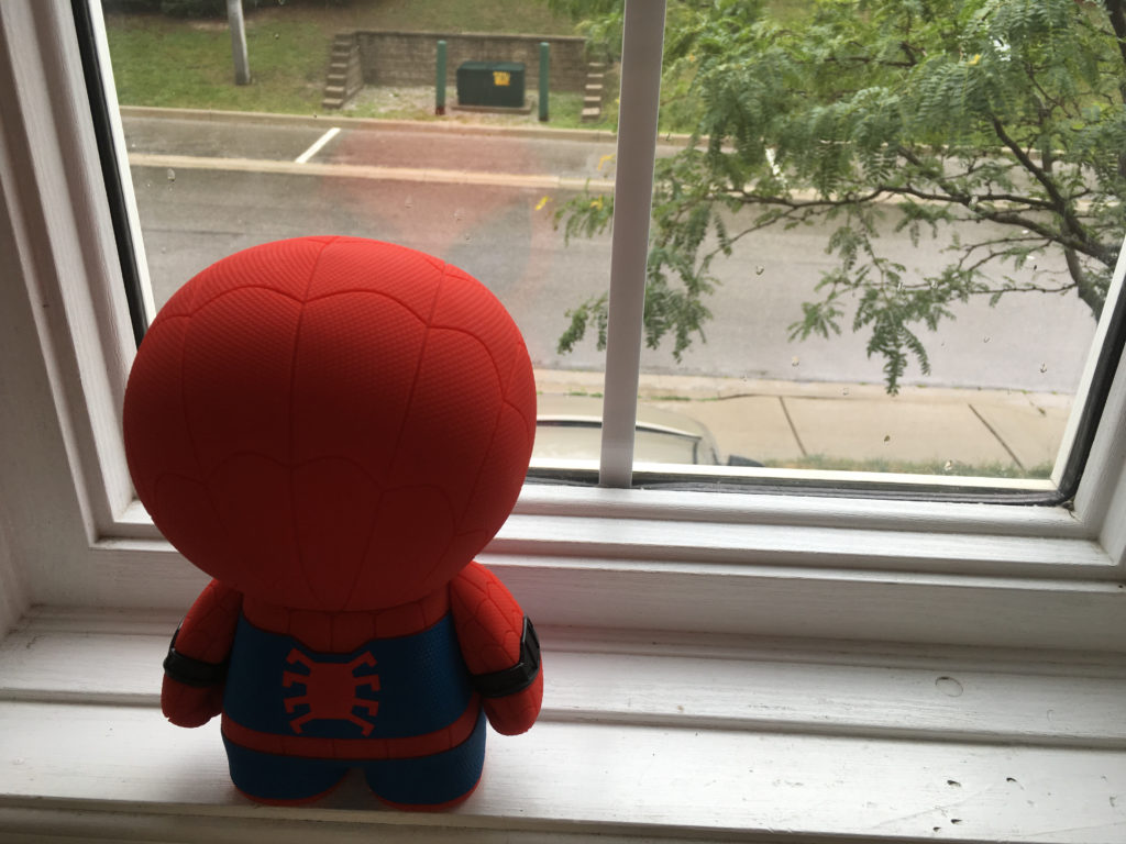 Spider-Man on guard 