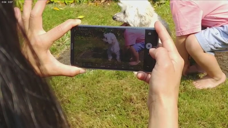 An image showing a photographer taking a photo of a dog using the LG V30