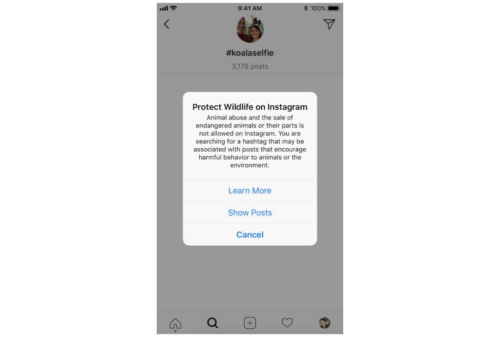 Instagram animal abuse message 