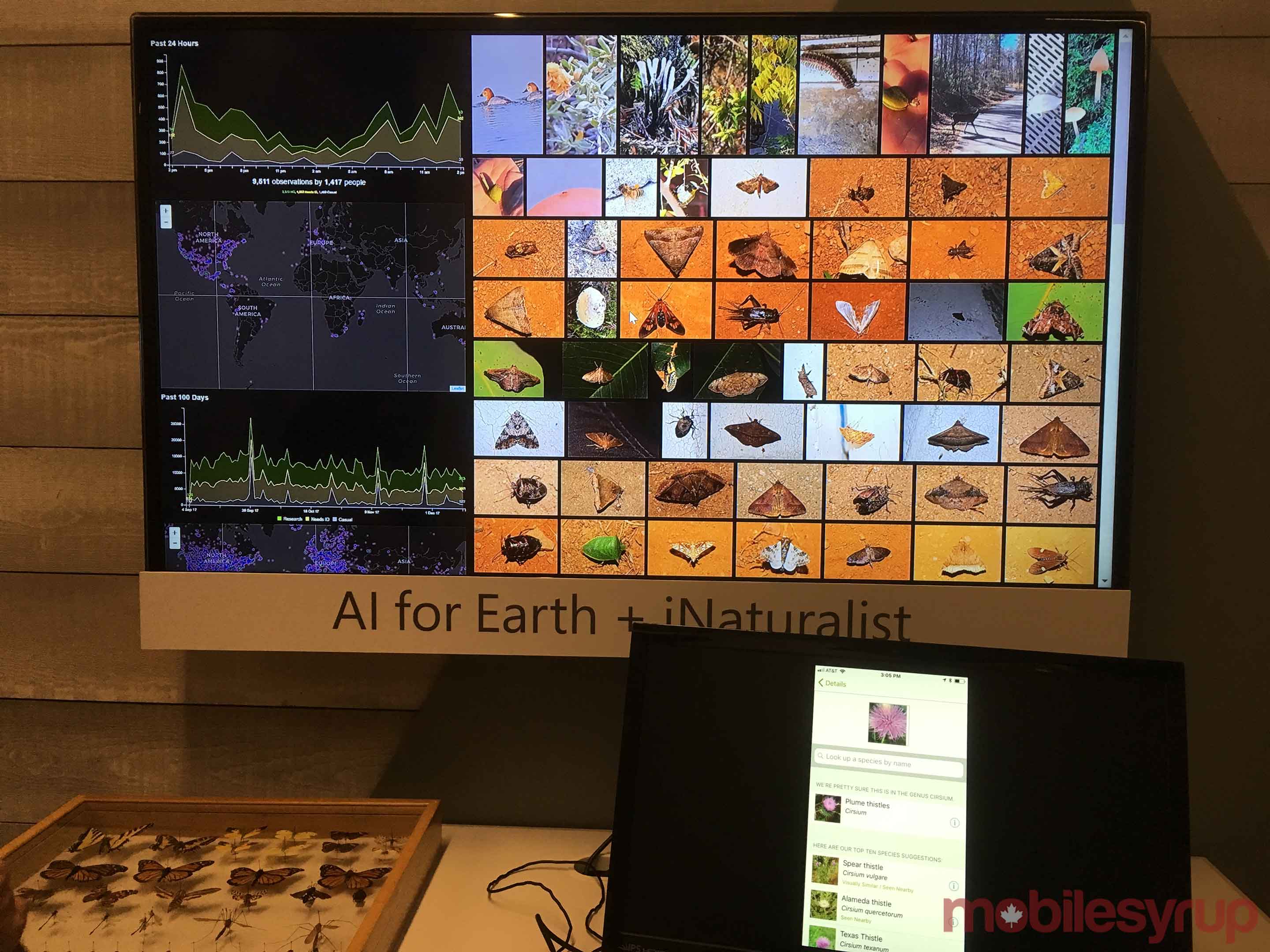 AI for Earth booth