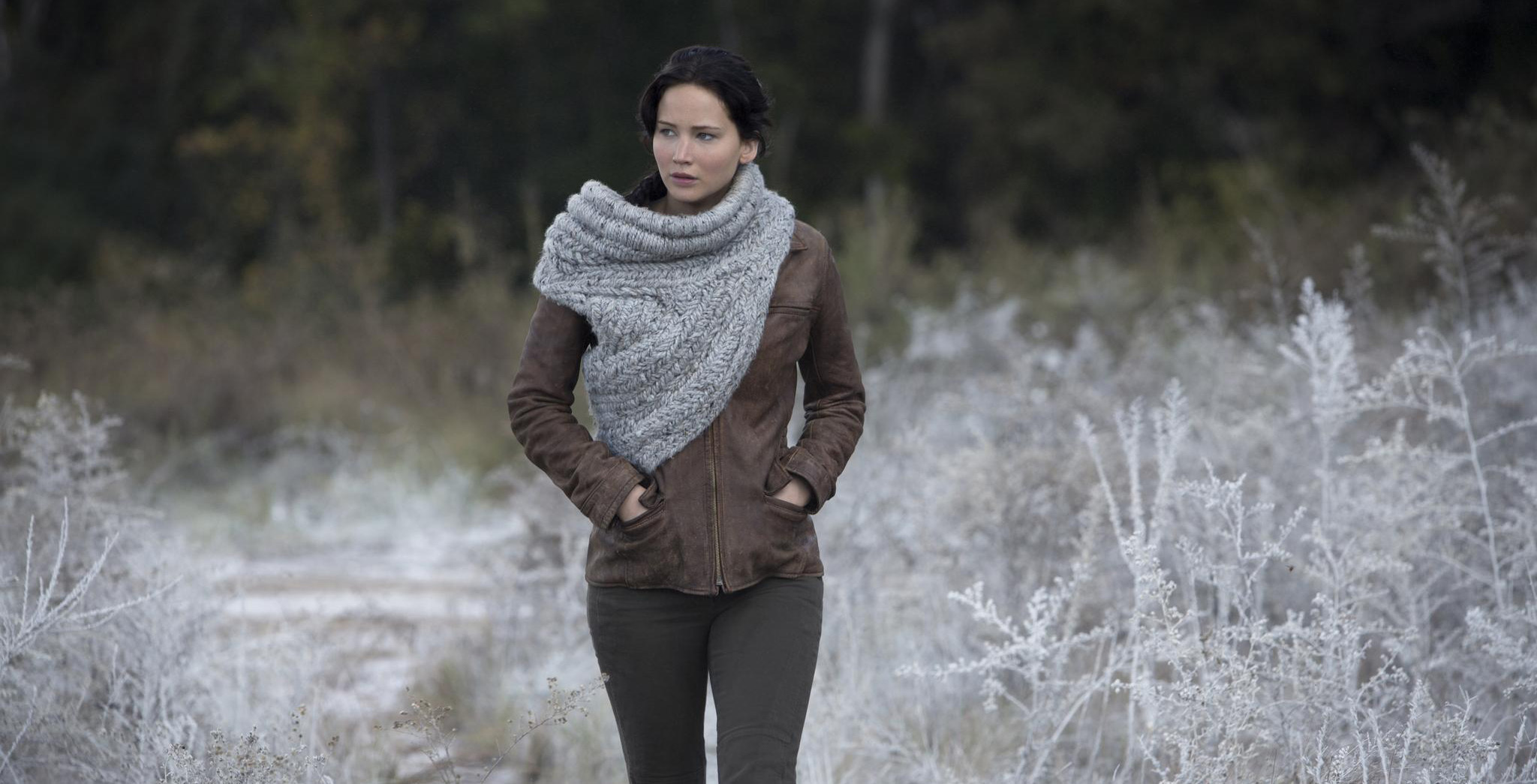 Where to watch the Hunger Games series in Canada before The Ballad of Songbirds & Snakes