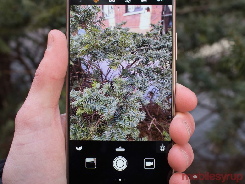 Huawei Mate 10 Pro taking pictures of leaves