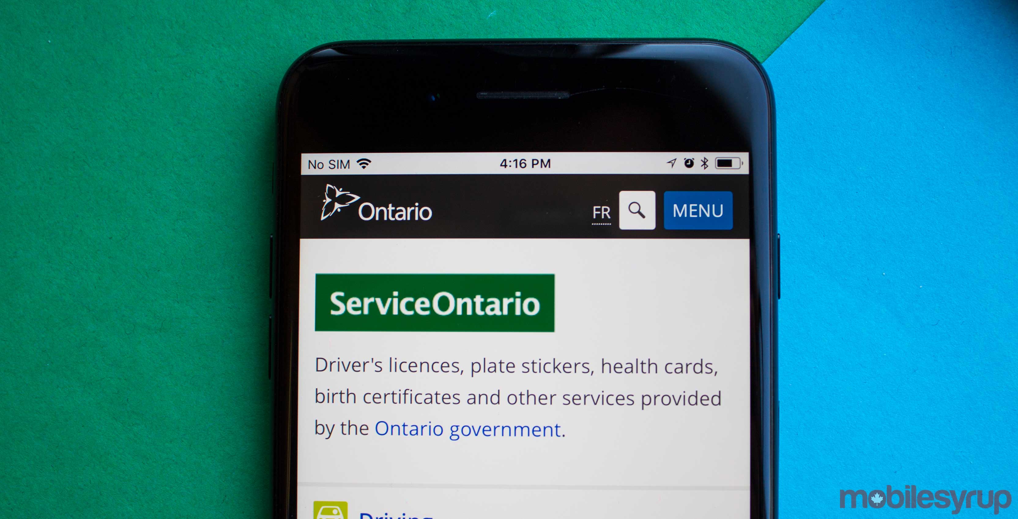 Service Ontario website on phone