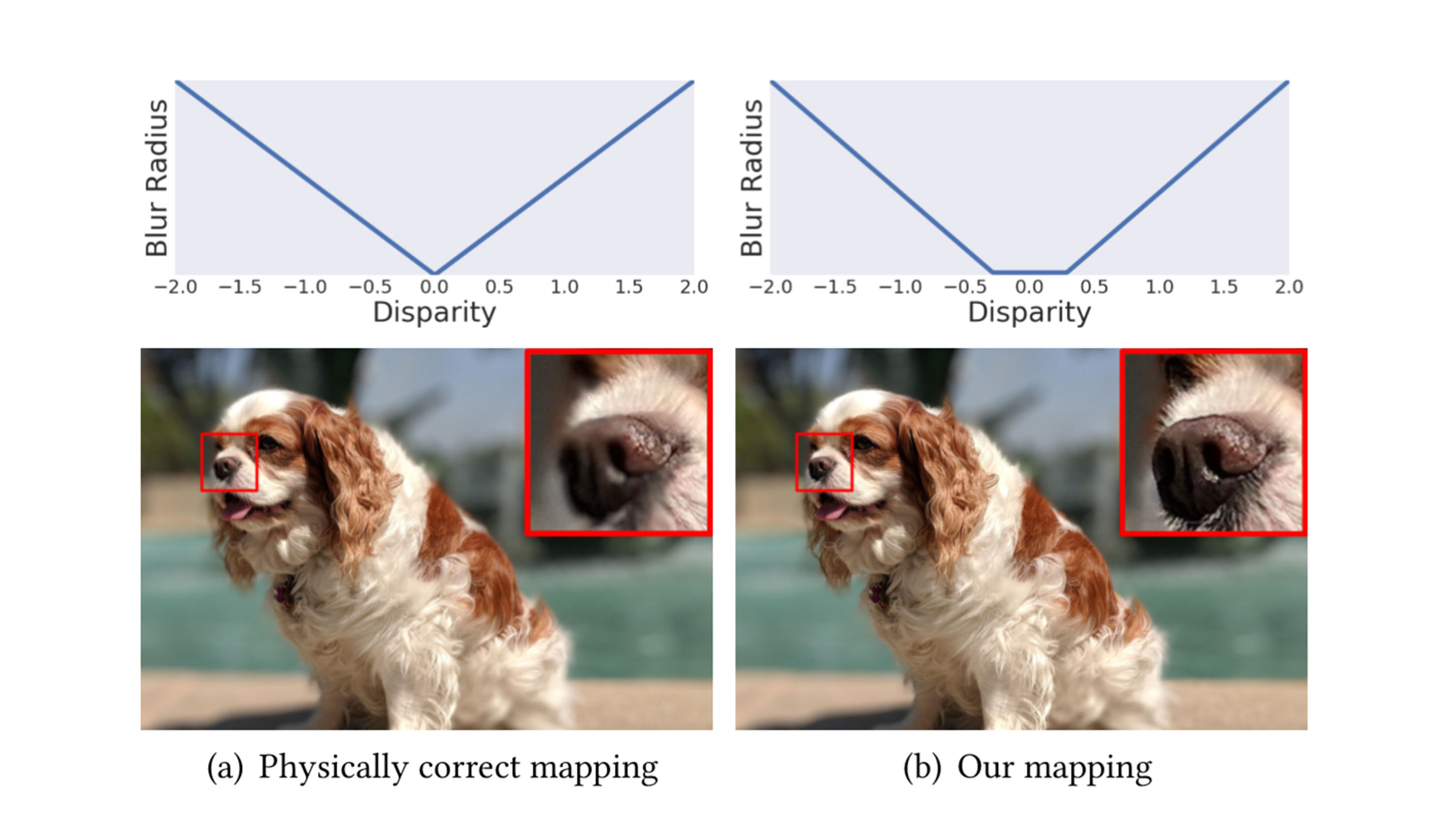 Blur mapping on a dog