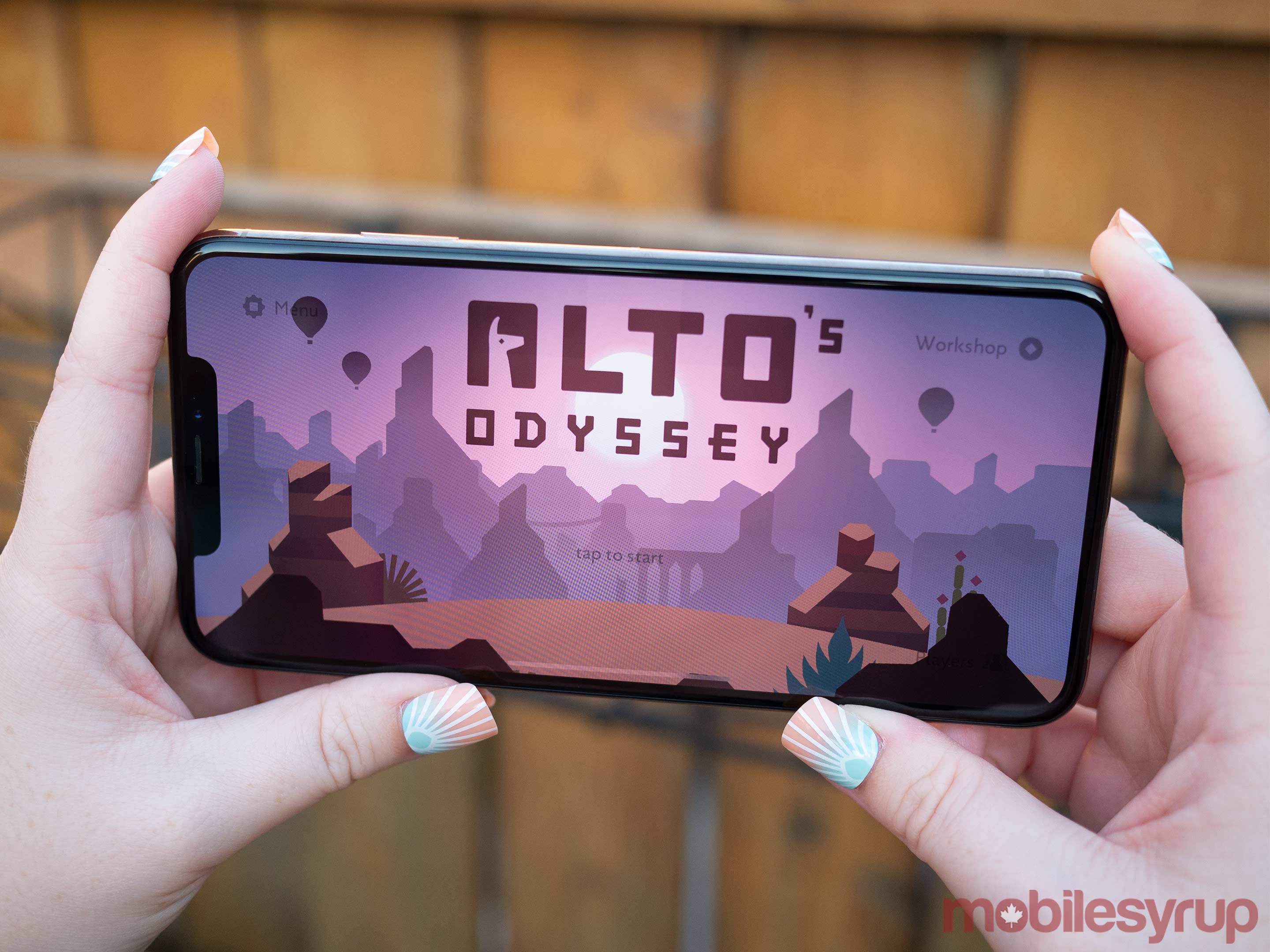 Alto's Odyssey iPhone XS