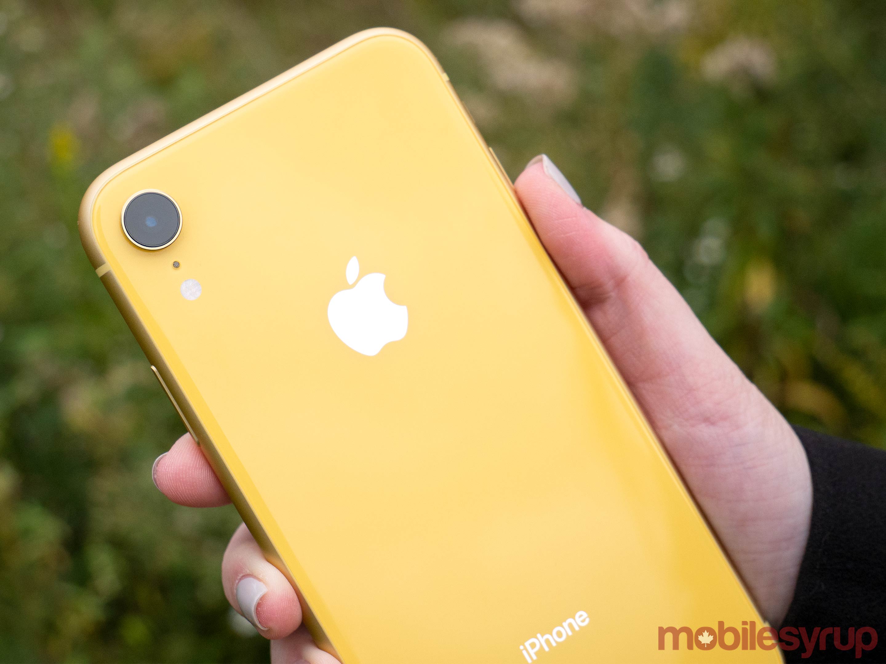 Yellow iPhone XR rear