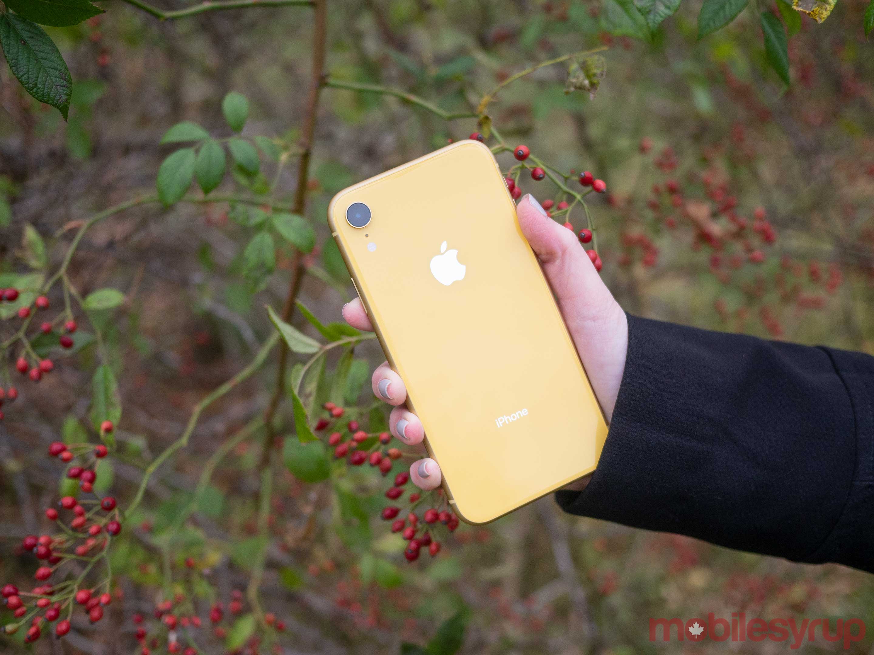 iPhone XR Review: Best iPhone for the average Apple user