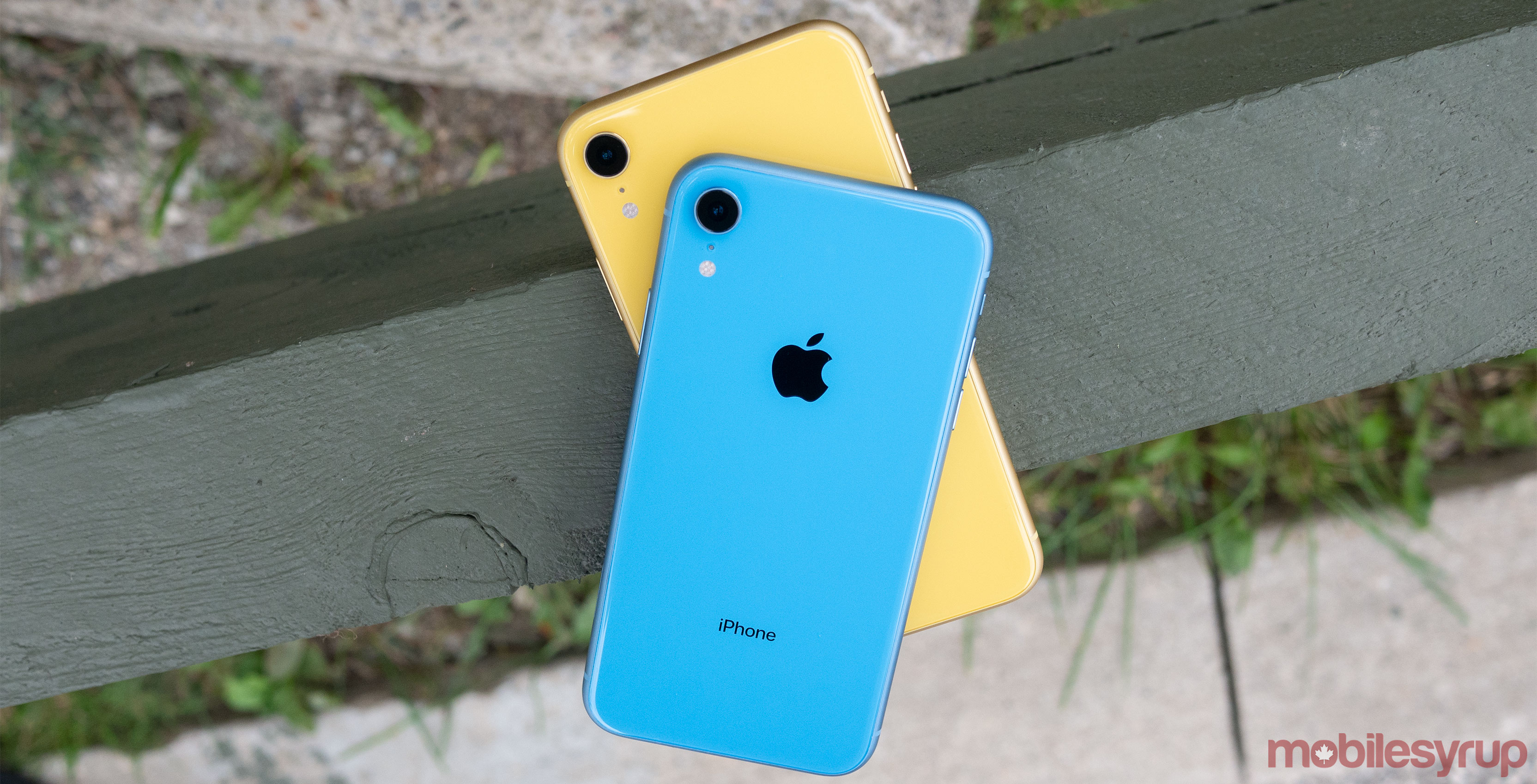 Could these glass shards be the colours for Apple's next iPhone XR?
