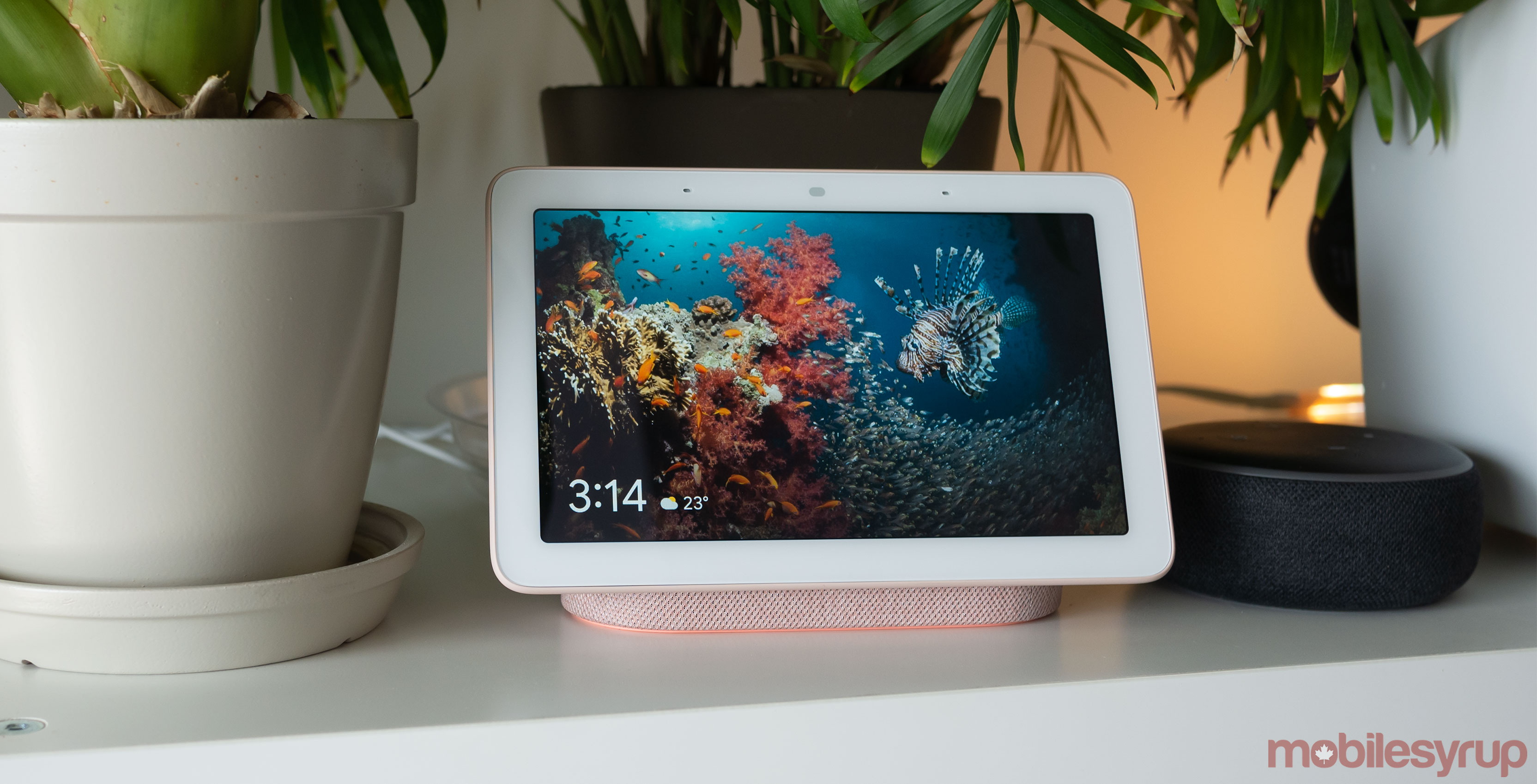 Nest Hub Review: Google Home with a screen