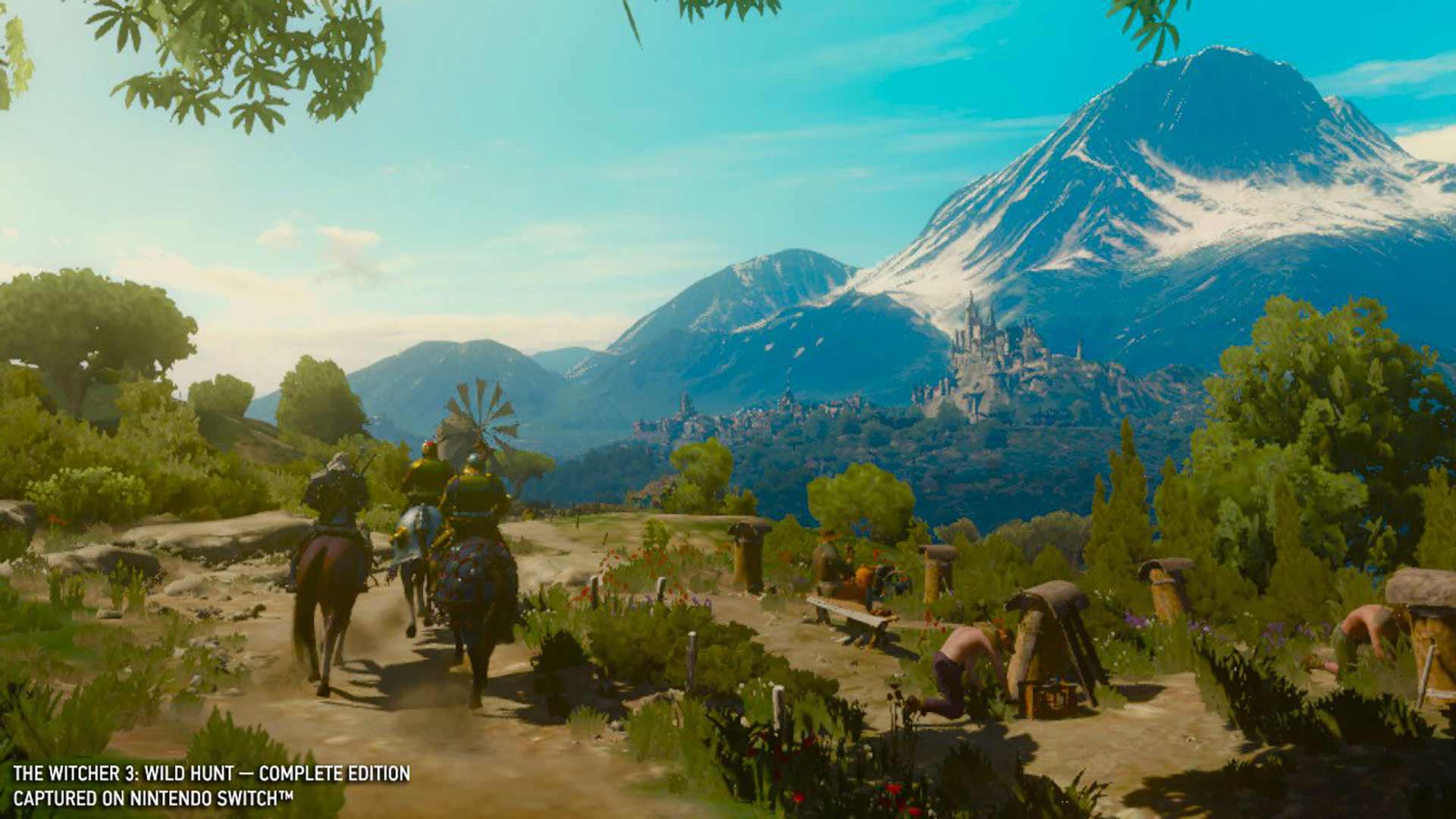 The Witcher 3 field