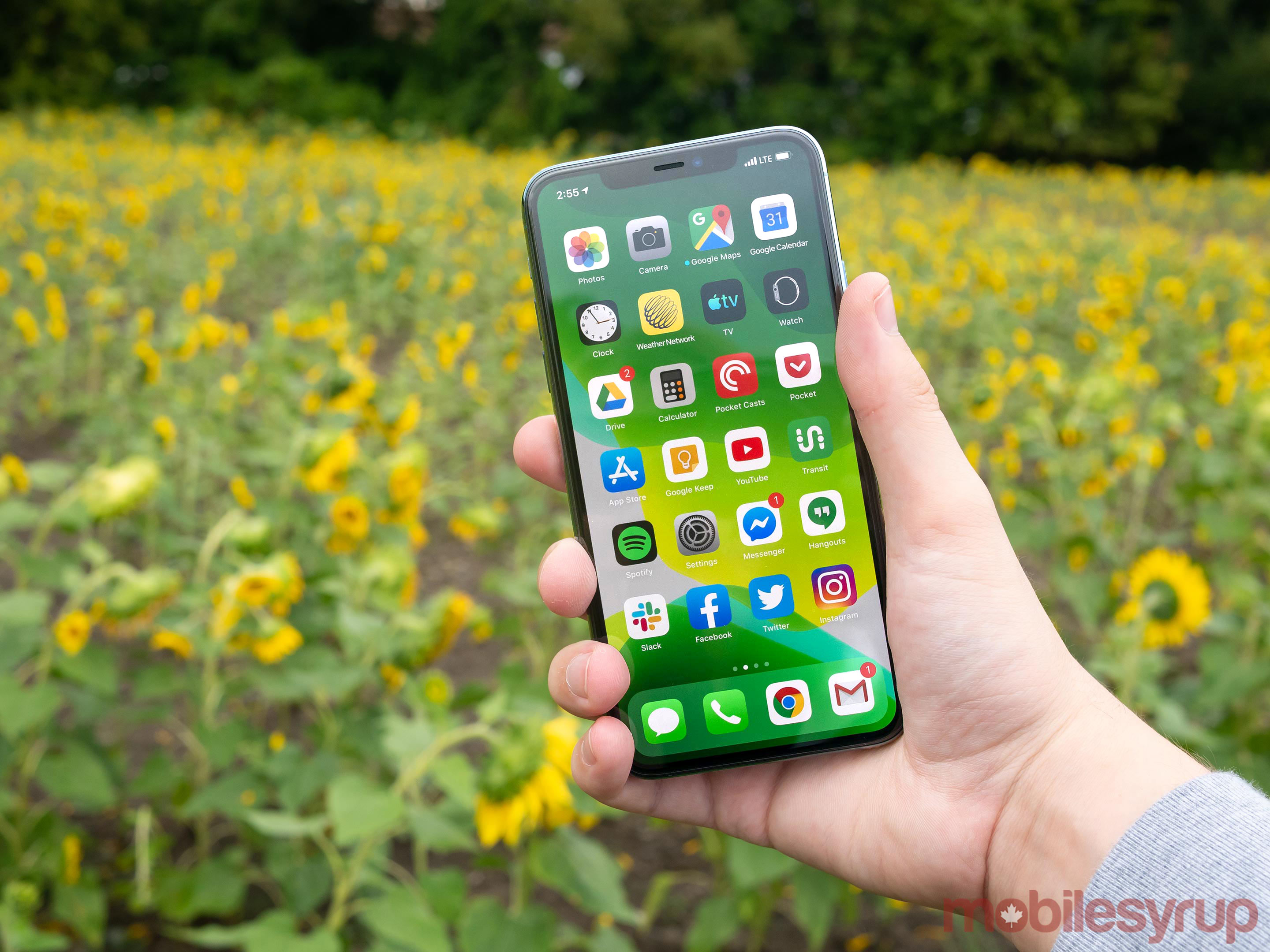 Iphone 11 Pro And 11 Pro Max Review Reclaiming The Camera Crown