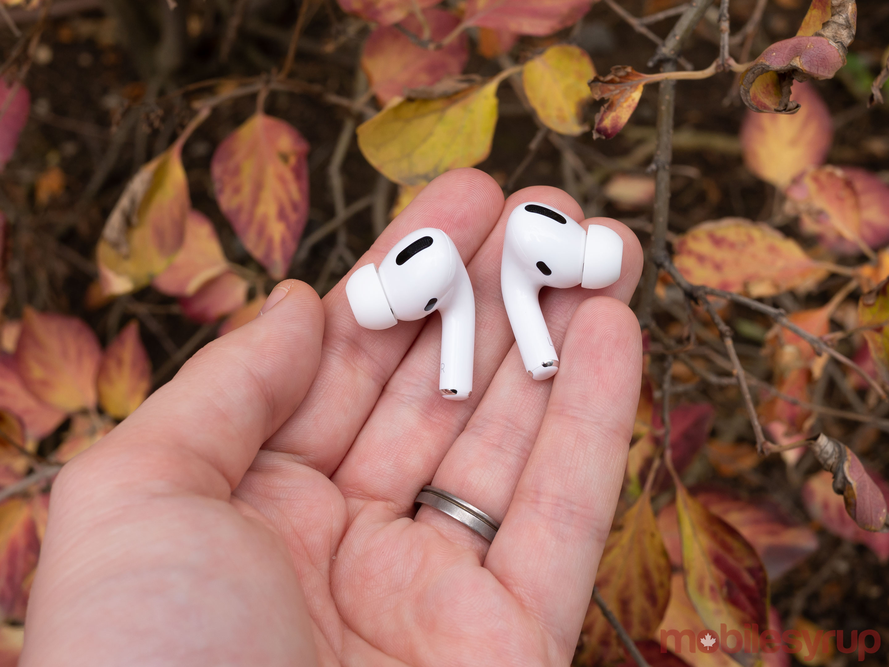 AirPods Pro in front of leaves
