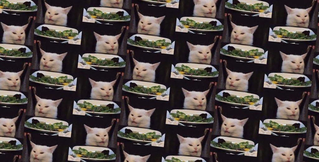 71 Best Cat Meme S Images In 2020 Cat Memes Memes Funny Memes