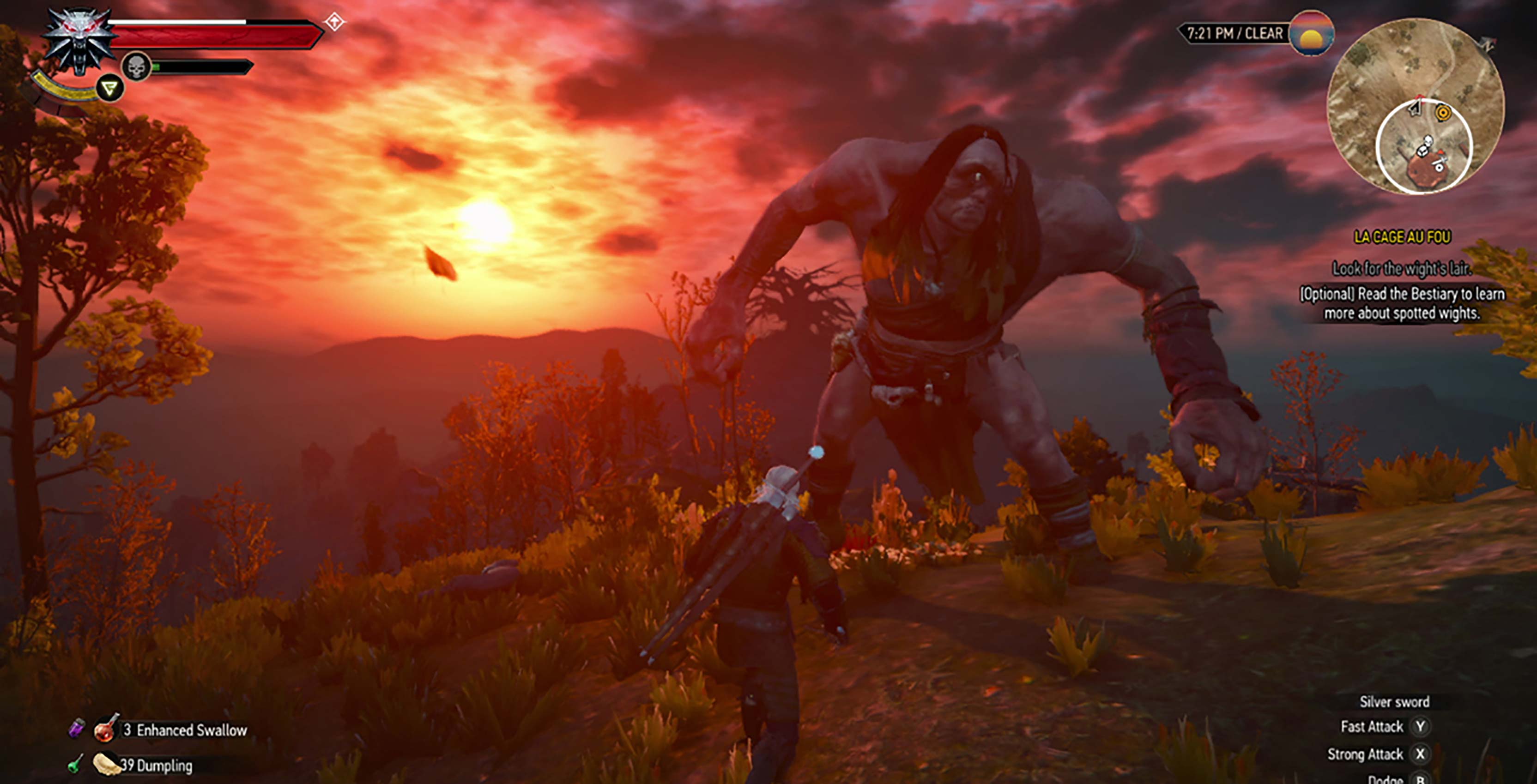 The Witcher 3 monster fight