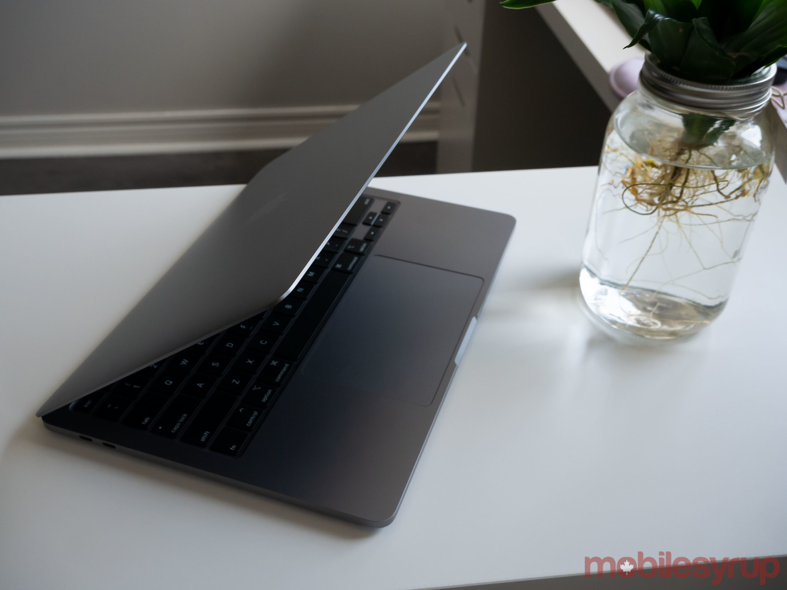13-inch MacBook Pro (2020) beside plant
