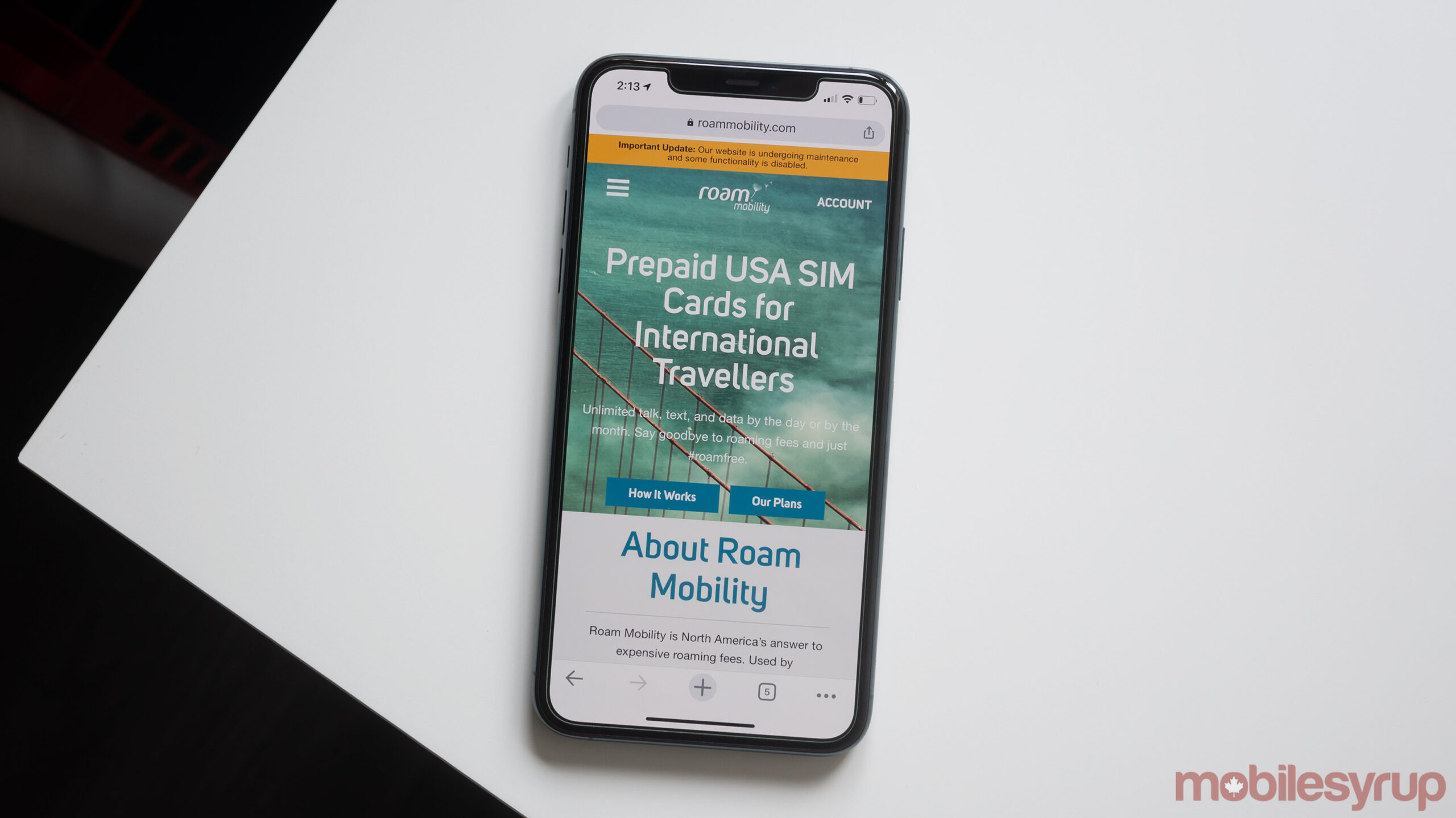 Roam Mobility ceasing operations permanently on June 30, 2020