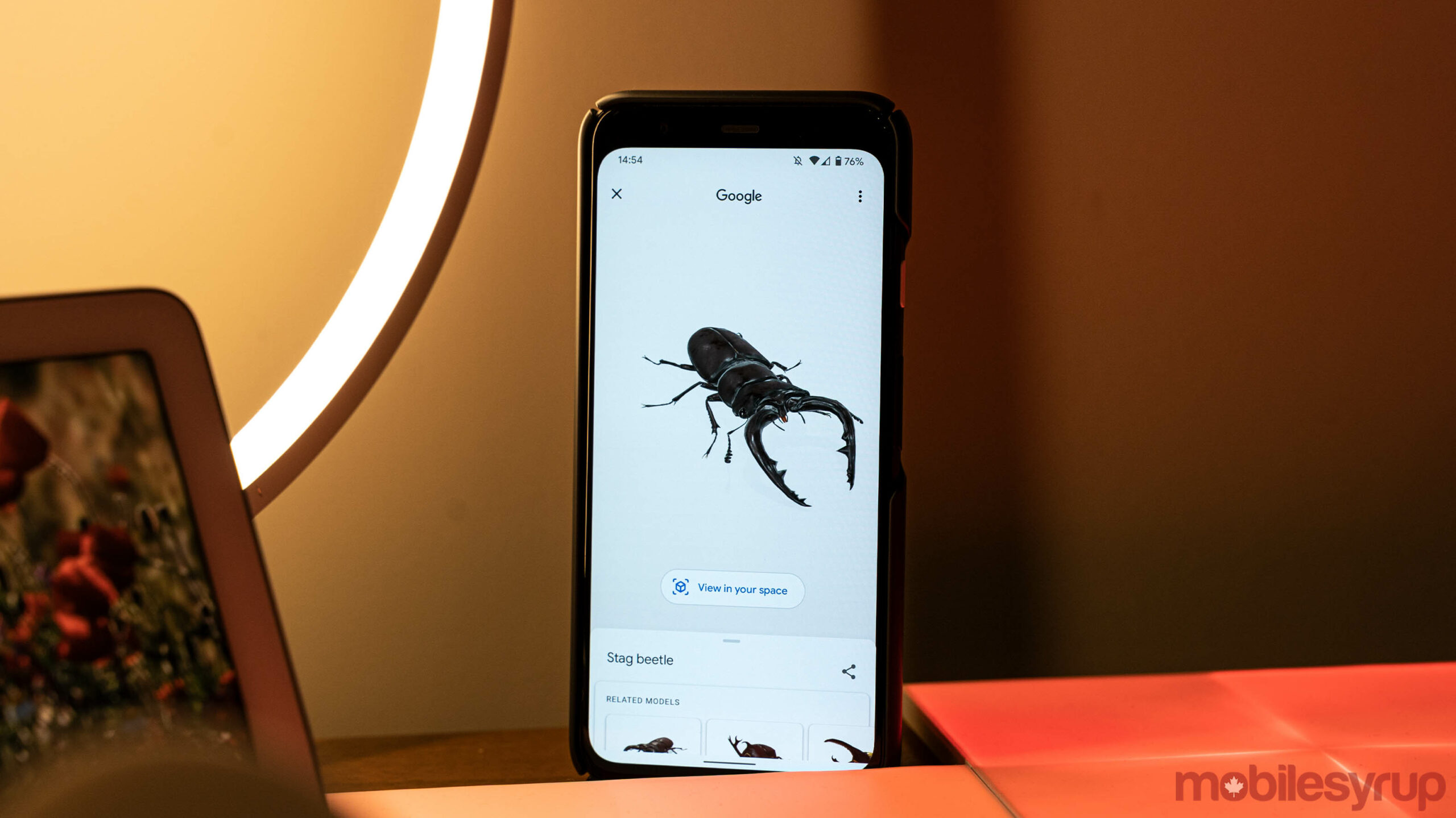 Google AR insects