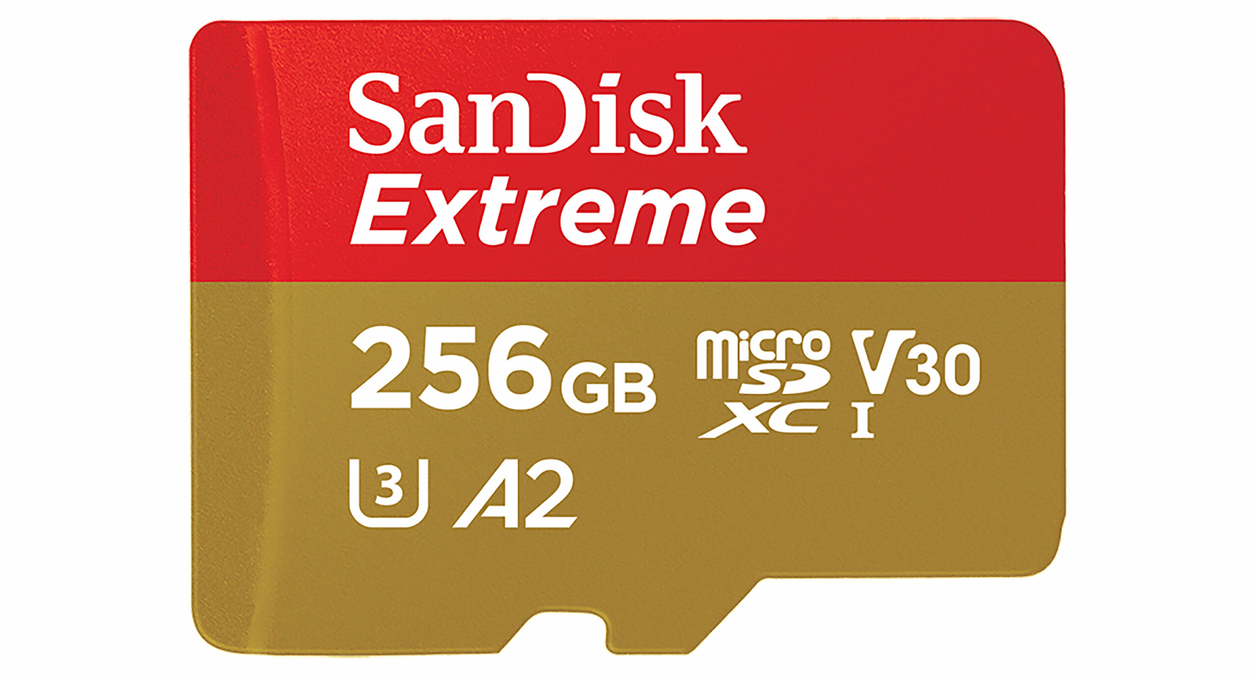 SanDisk 256GB SDXC Card