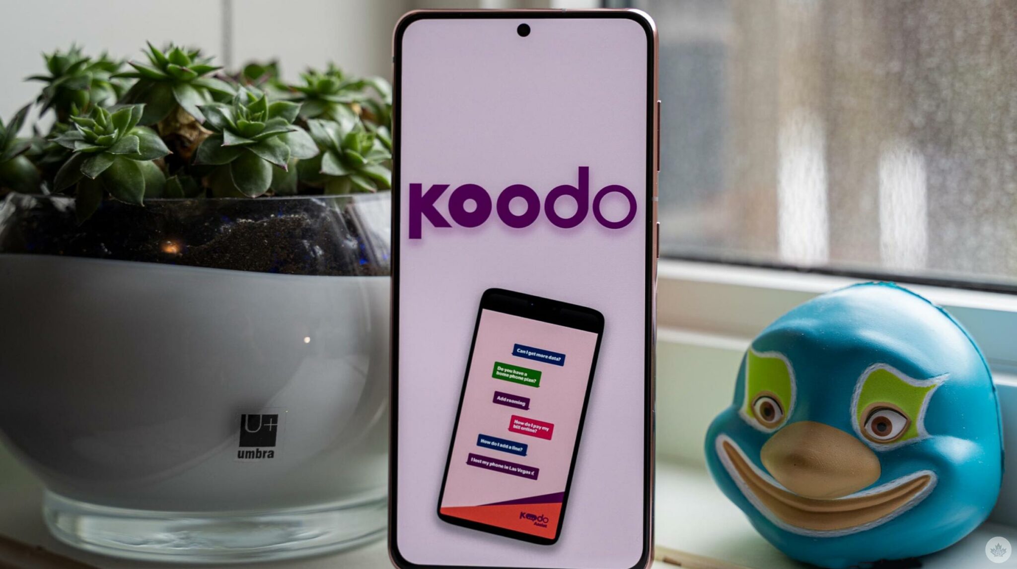 koodo business plans