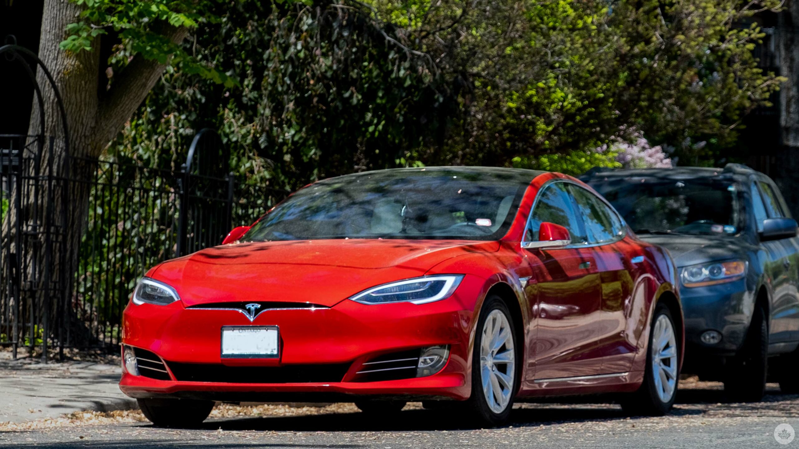 Elon Musk Musk delays Tesla Full Self-Driving beta release over ‘last minute concerns’ thumbnail