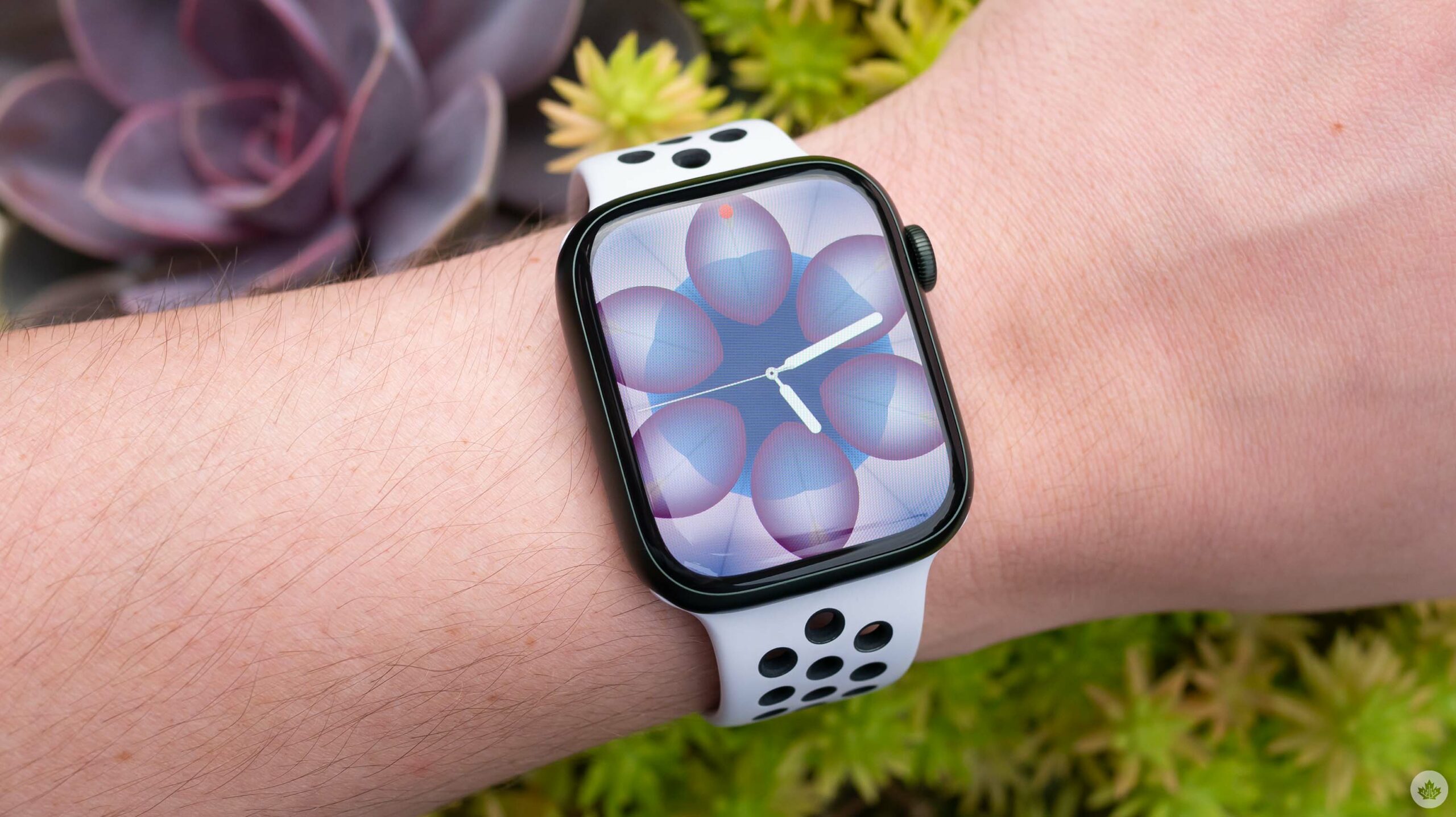 Vaktini boşa harcamak Yelek bir şey  Apple Watch Series 7 Review: The best smartwatch gets a little better