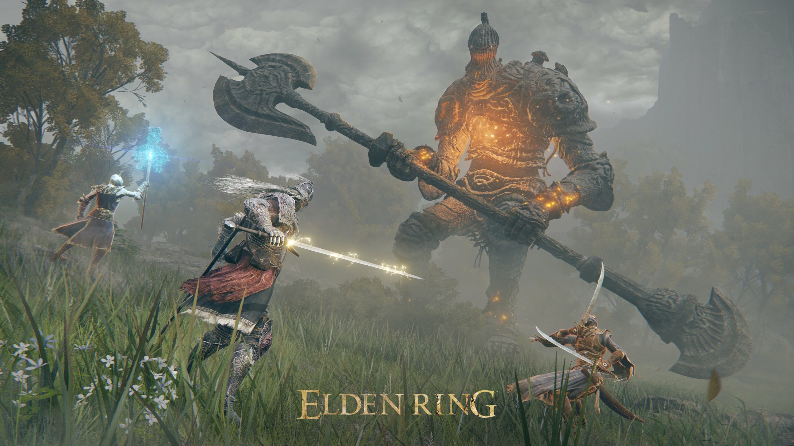 Diary of an Elden Ring Player - CNET