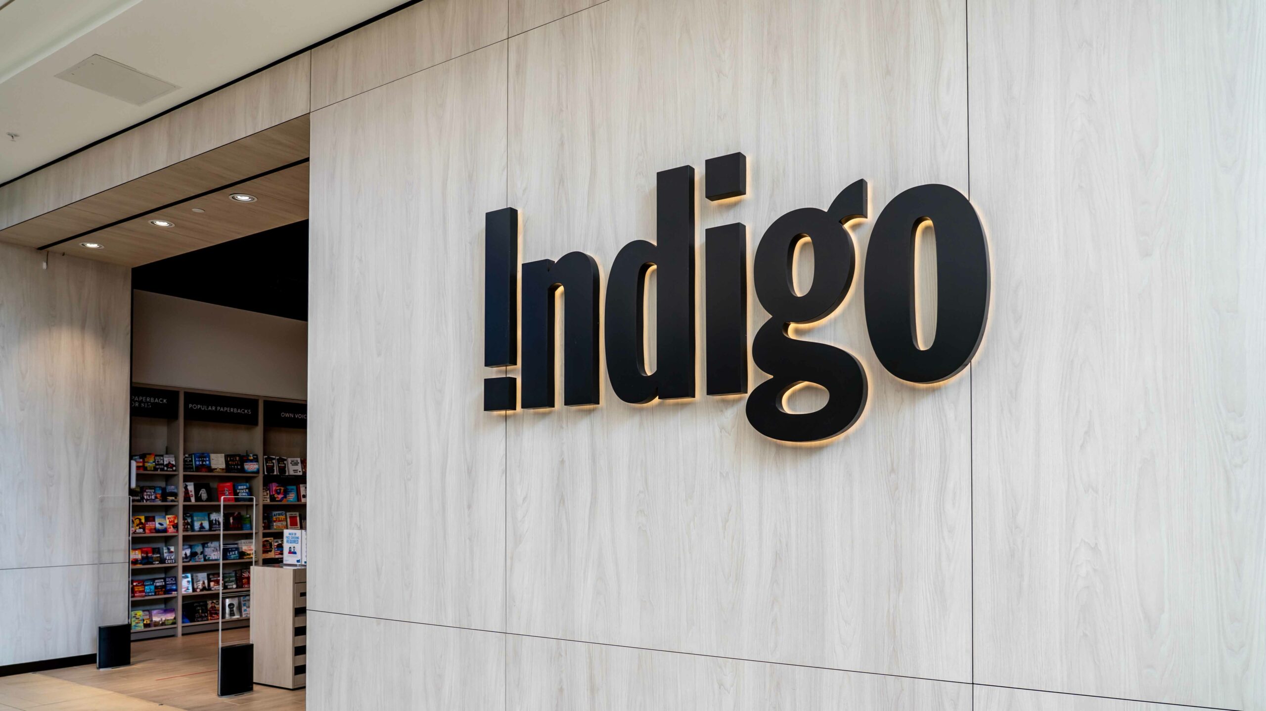 Indigo Logo Scaled