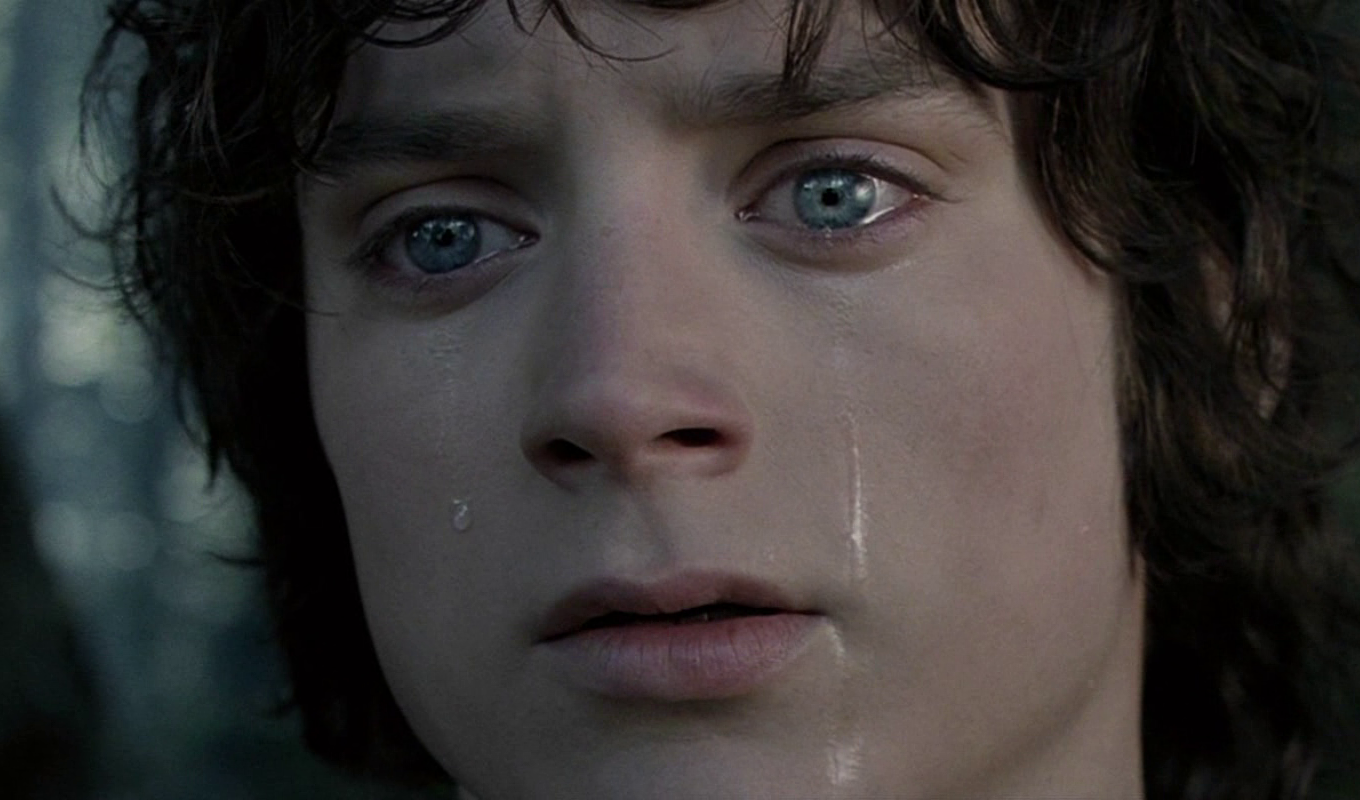 Sad Frodo
