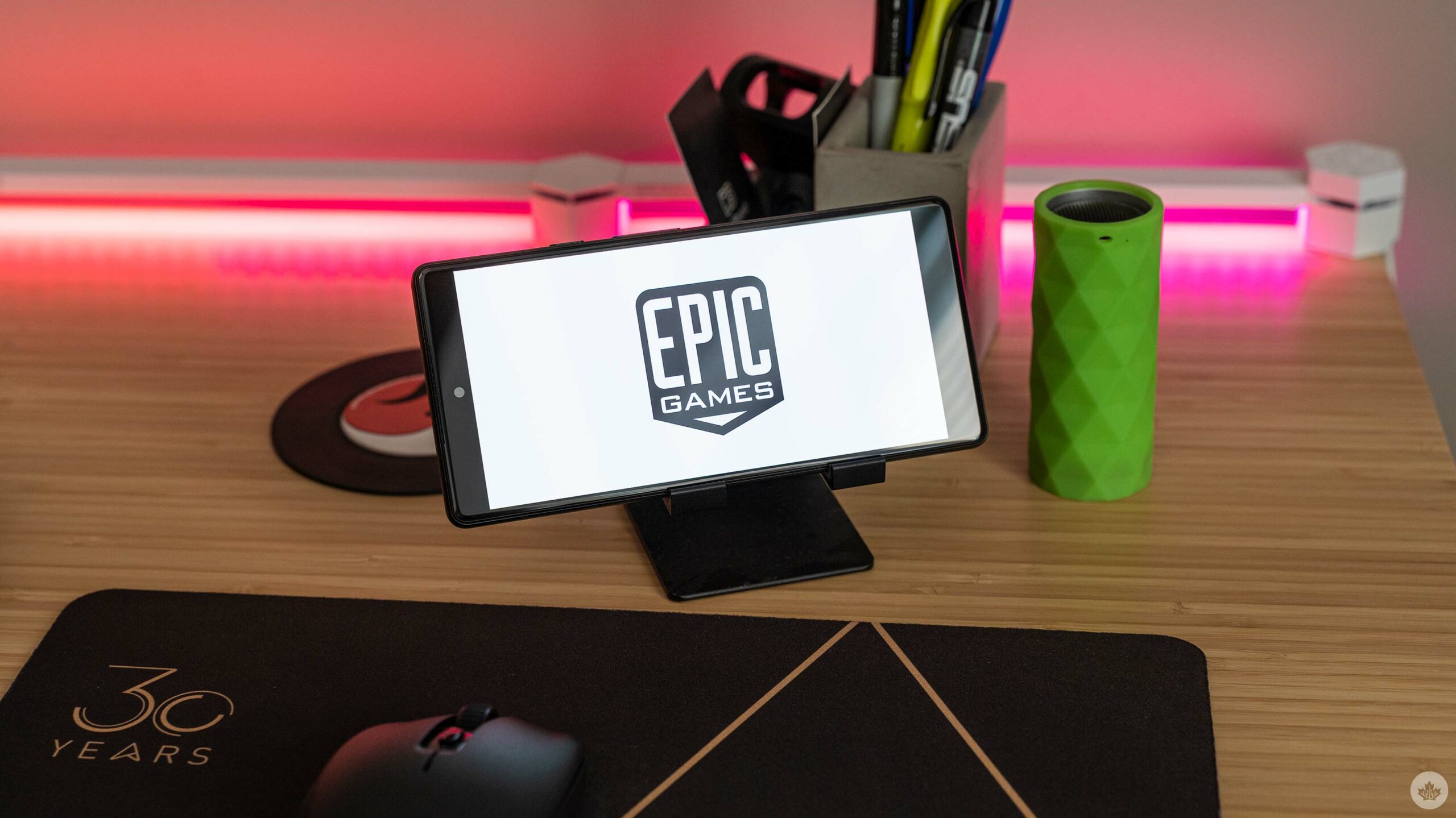 Epic Games logo on a Pixel 6