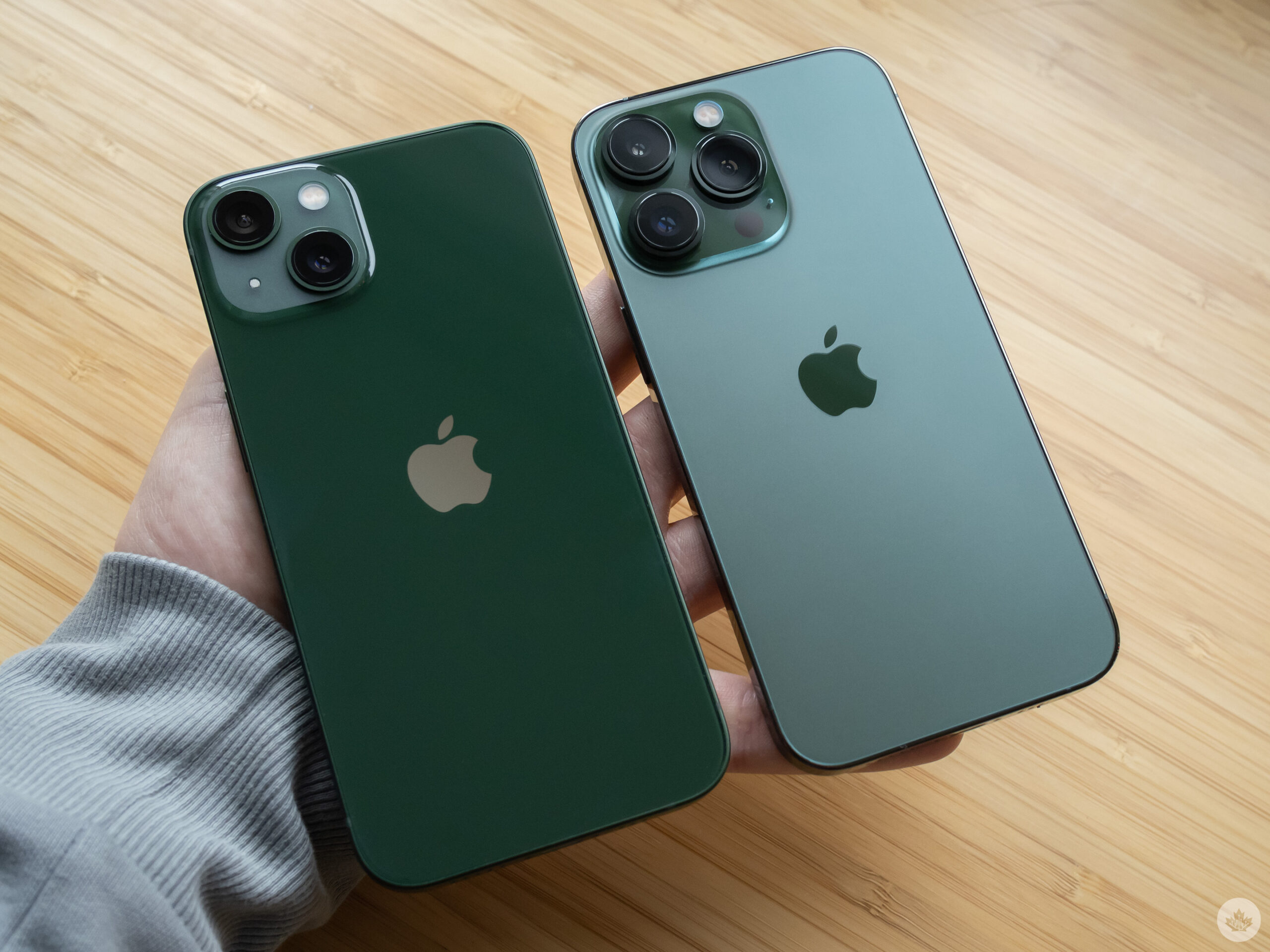 Айфон 13 про цветы. Iphone 13 Pro Green. Iphone 13 Alpine Green. Iphone 13 Pro Max. Iphone 13 Pro Max Green.