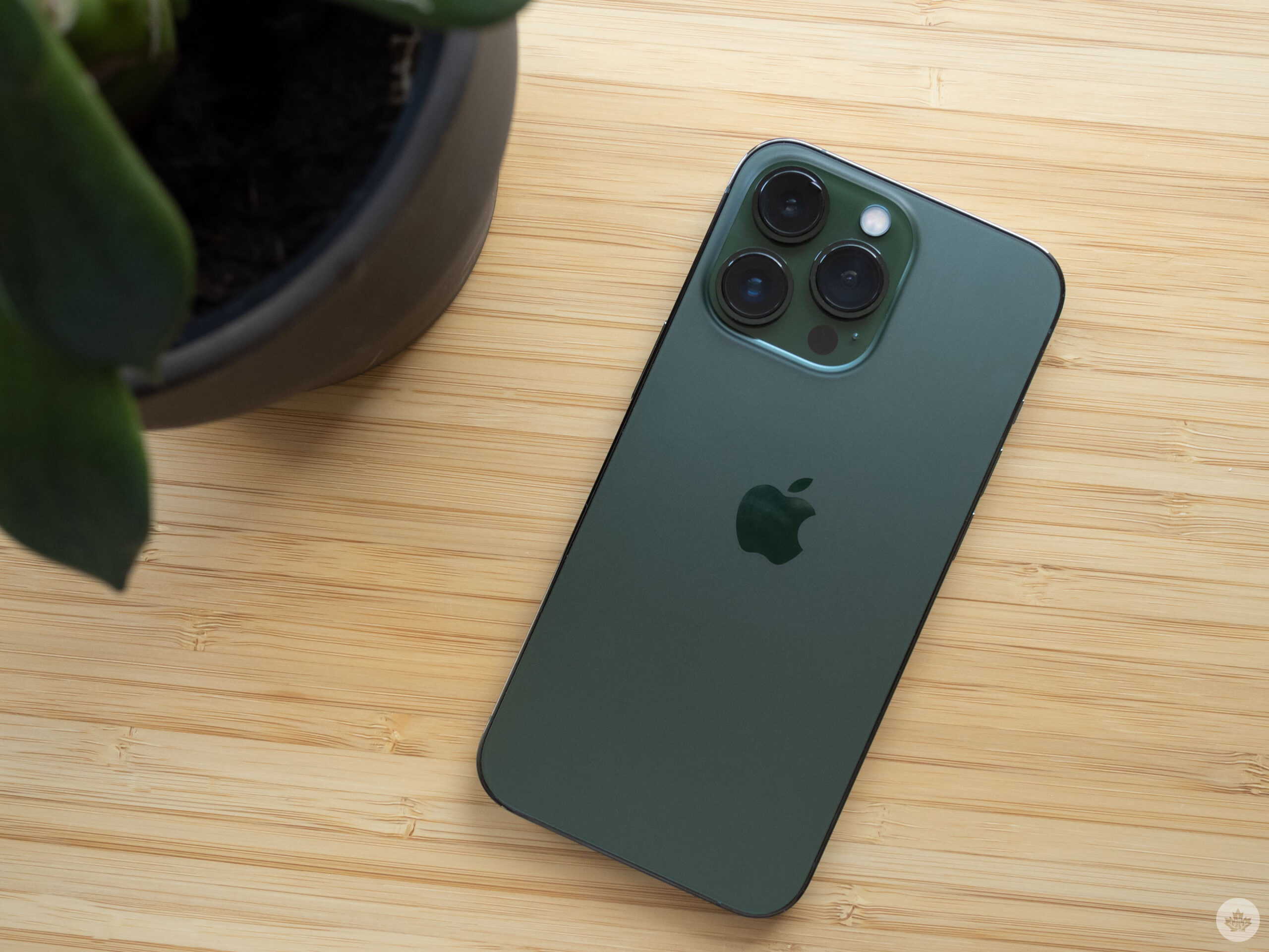 iPhone 13 Pro green