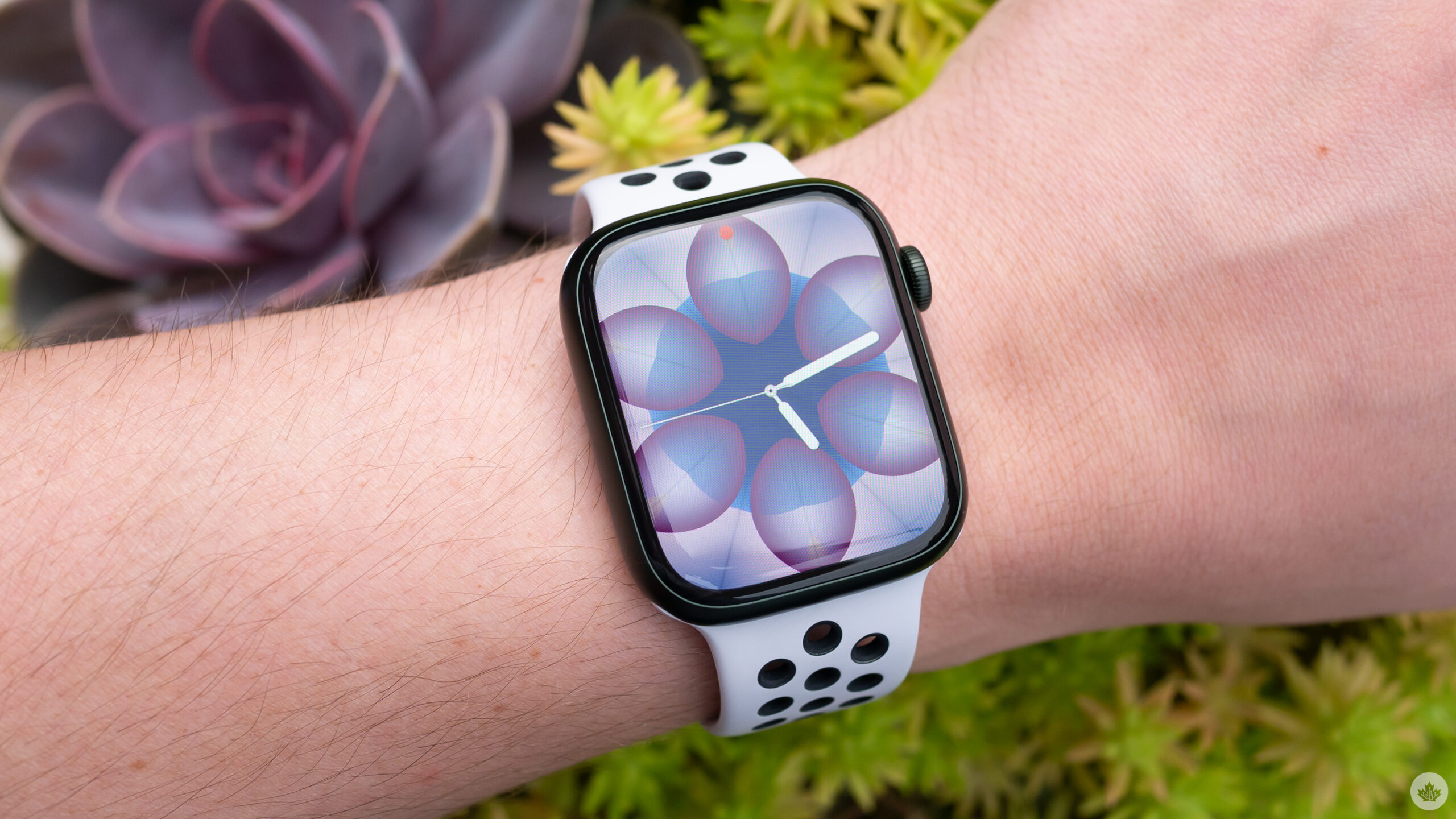 Don't Pay 499, Get the Apple Watch Series 8 [GPS + Cellular] 41mm