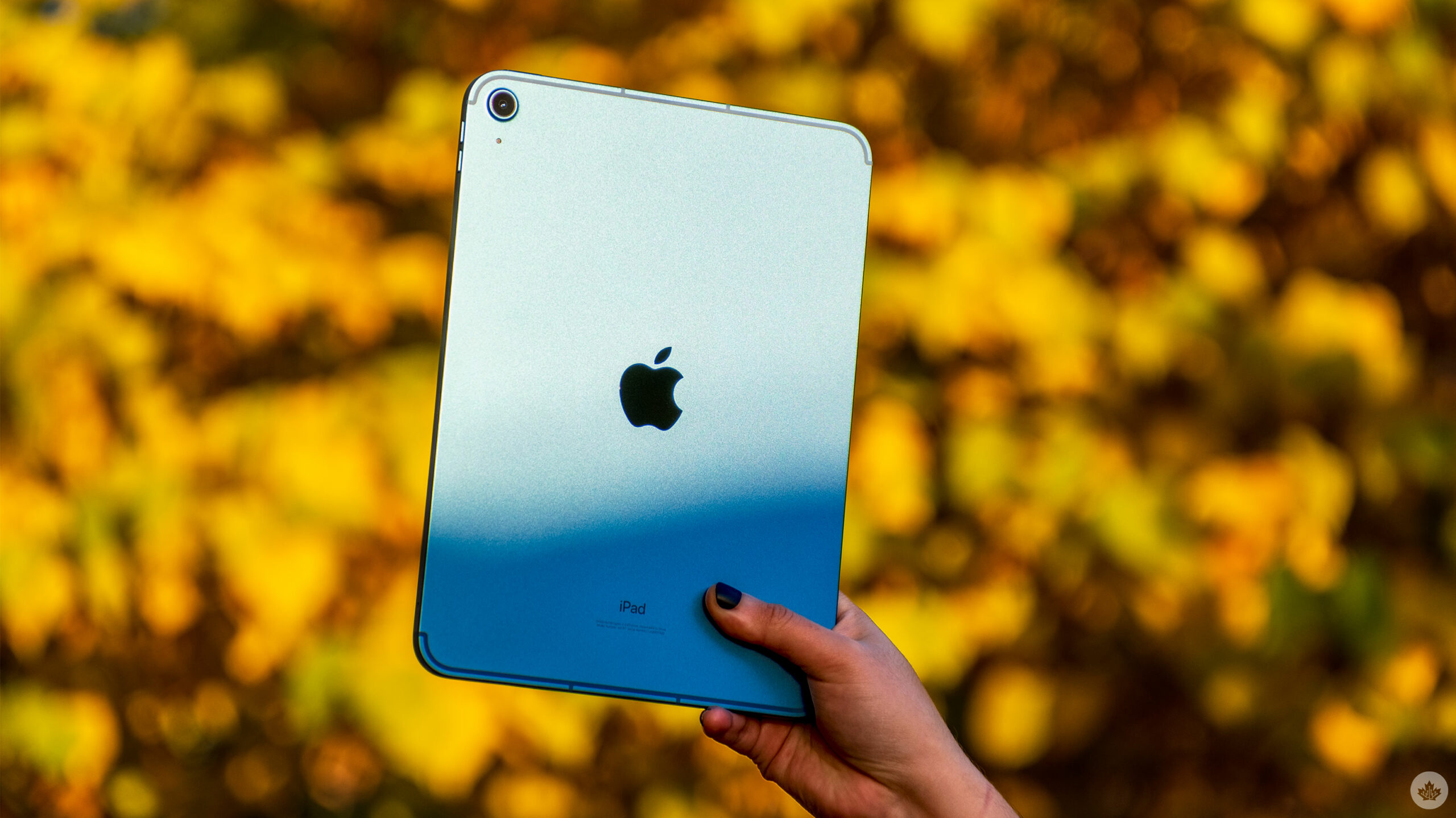 iPad Air (2022) review: Making $1,000 Android tablets look silly