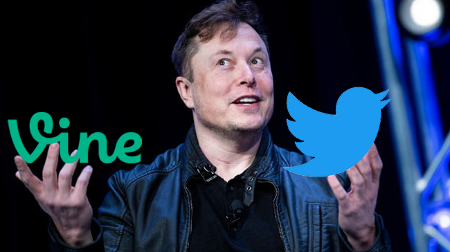 Musk wants to revive Vine, likely to compete with TikTok