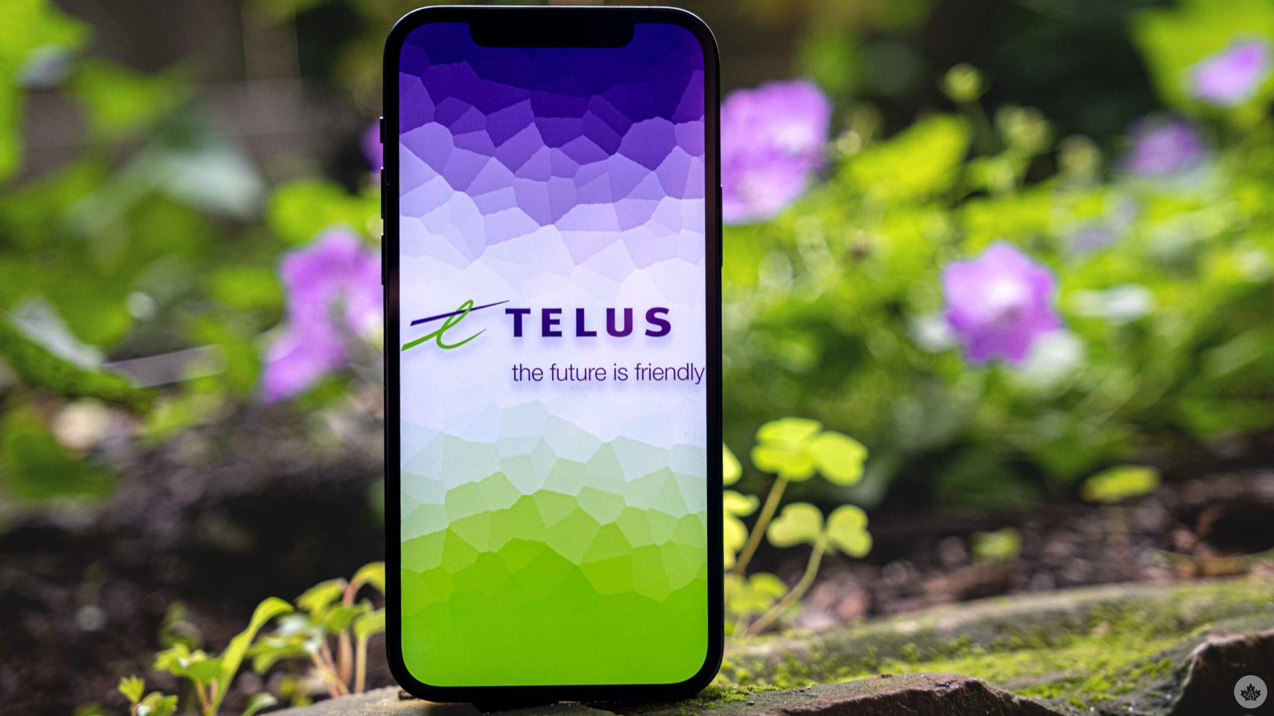 Telus now has a 150GB plan that costs 5/mo