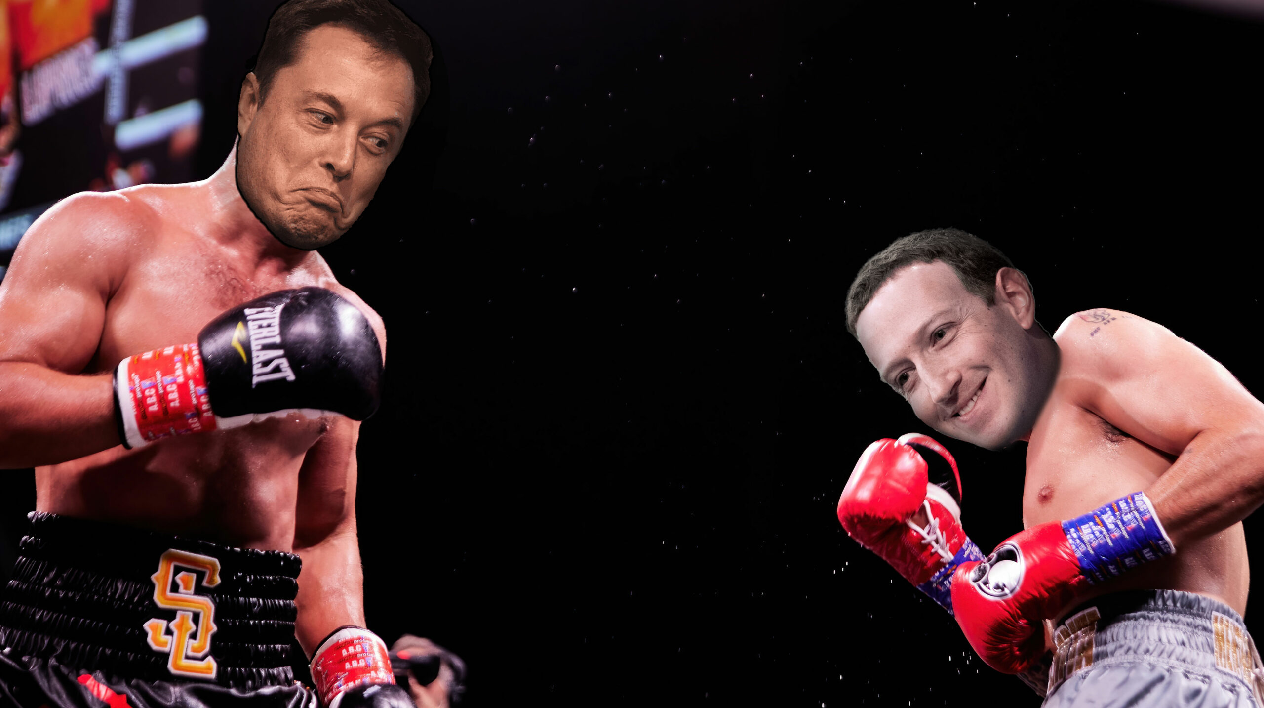 Elon Musk claims Italian prime minister agreed on ‘epic location’ for Zuckerberg fight thumbnail