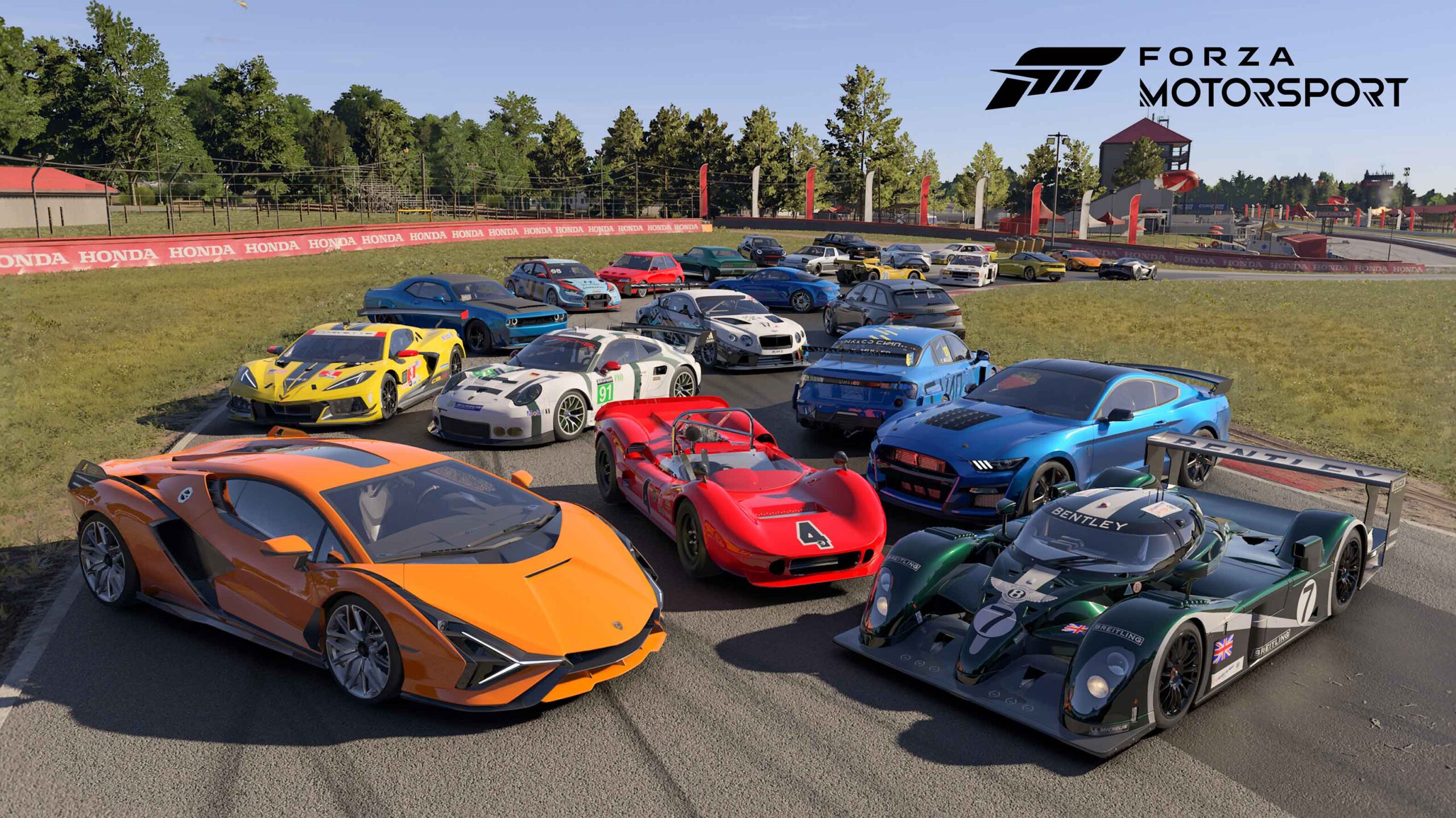 Xbox Forza Motorsport bunch of cars
