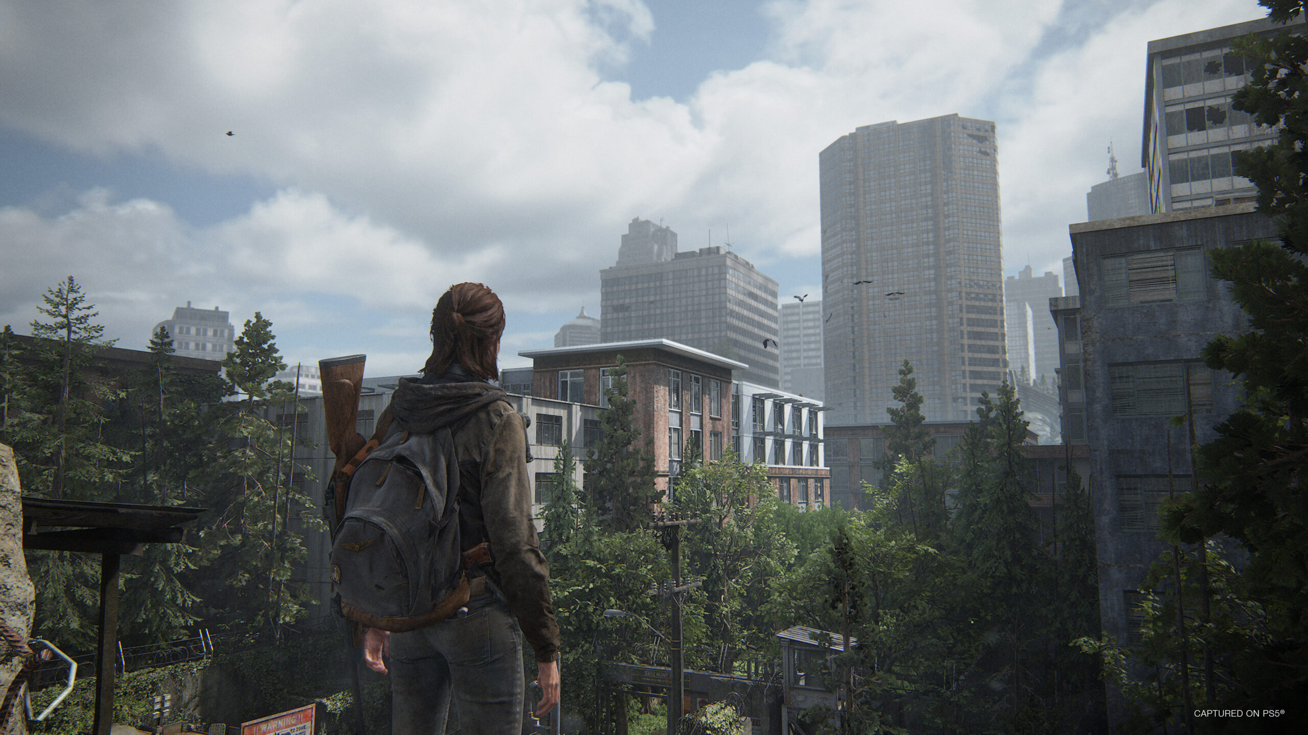 The Last of Us Part II Remastered for PS5 only costs  if you already own the game