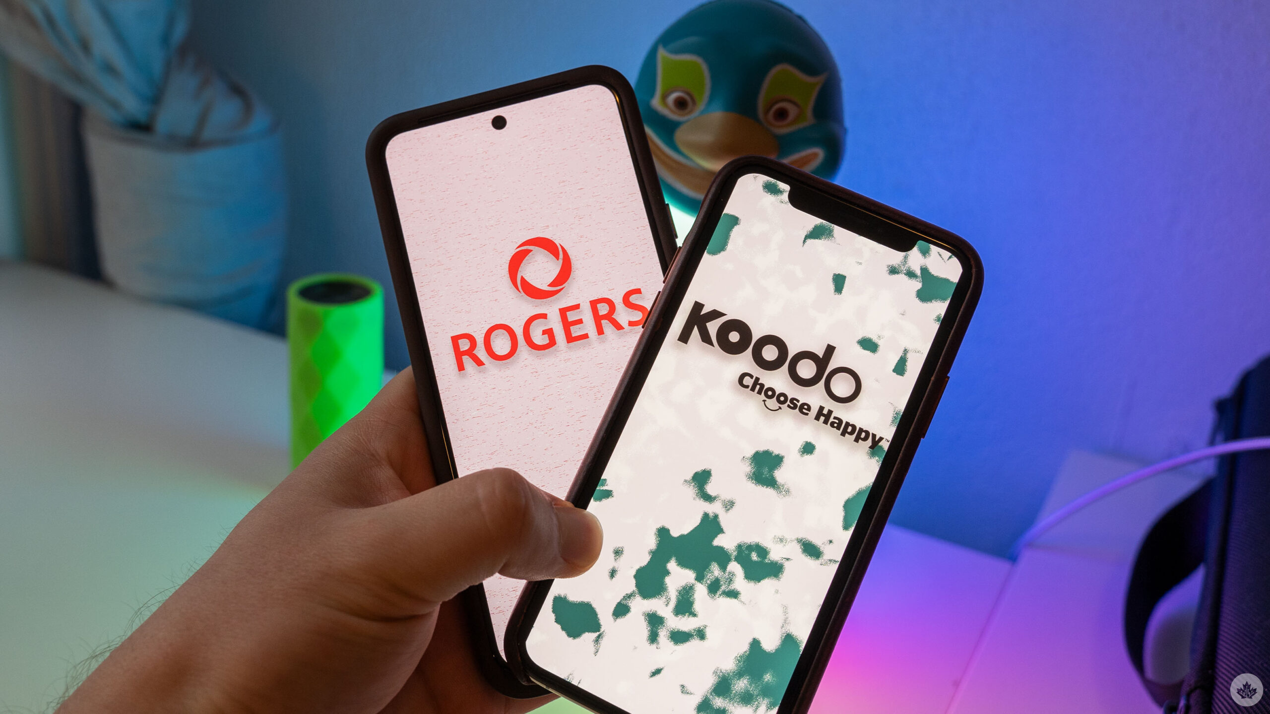 Rogers and Koodo logos on smartphones.